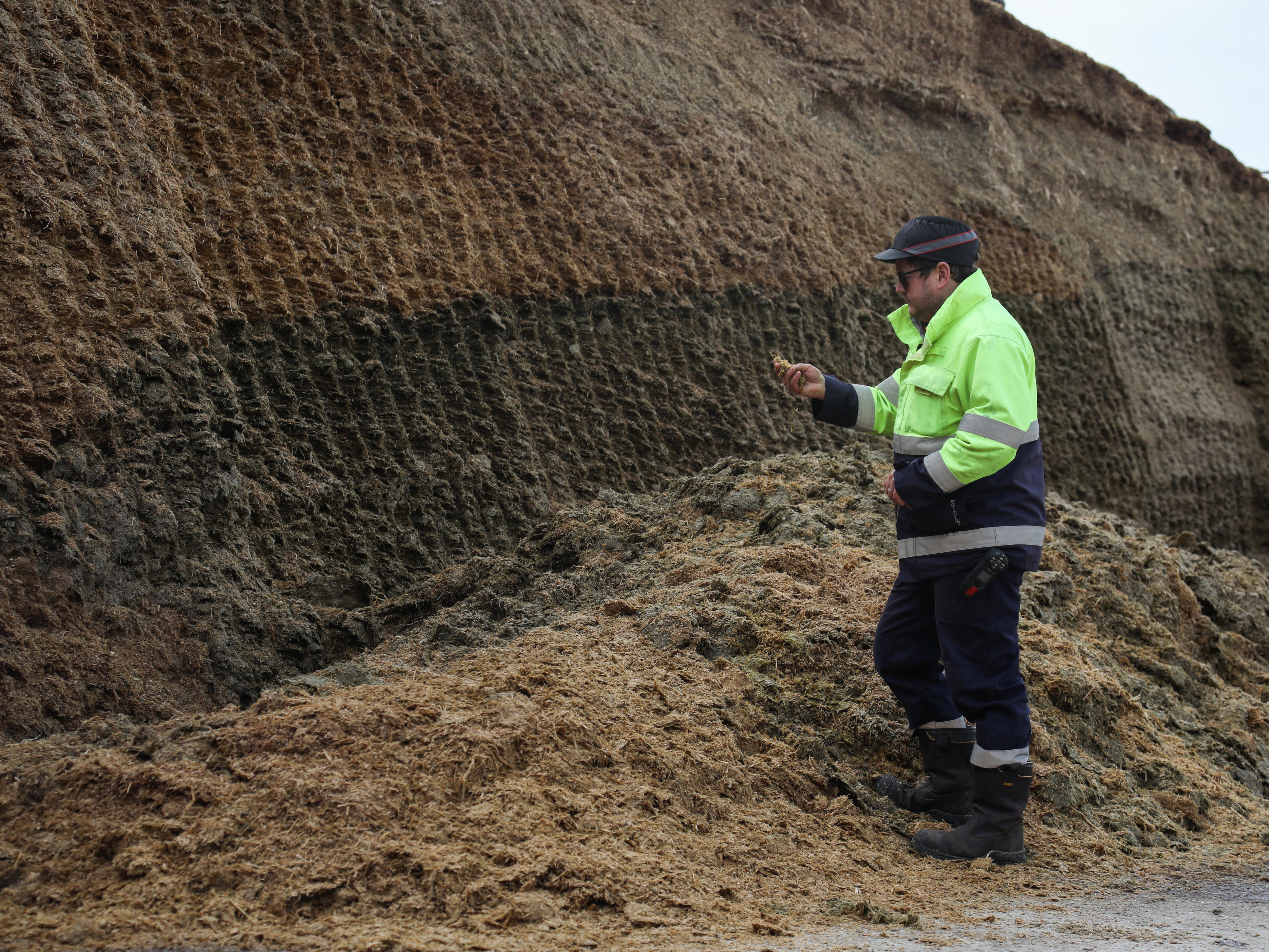 Condate Biogas site manager Justin Williams with some of the 8,000 tonnes of crop that can be stored at the site ready to produce biogas