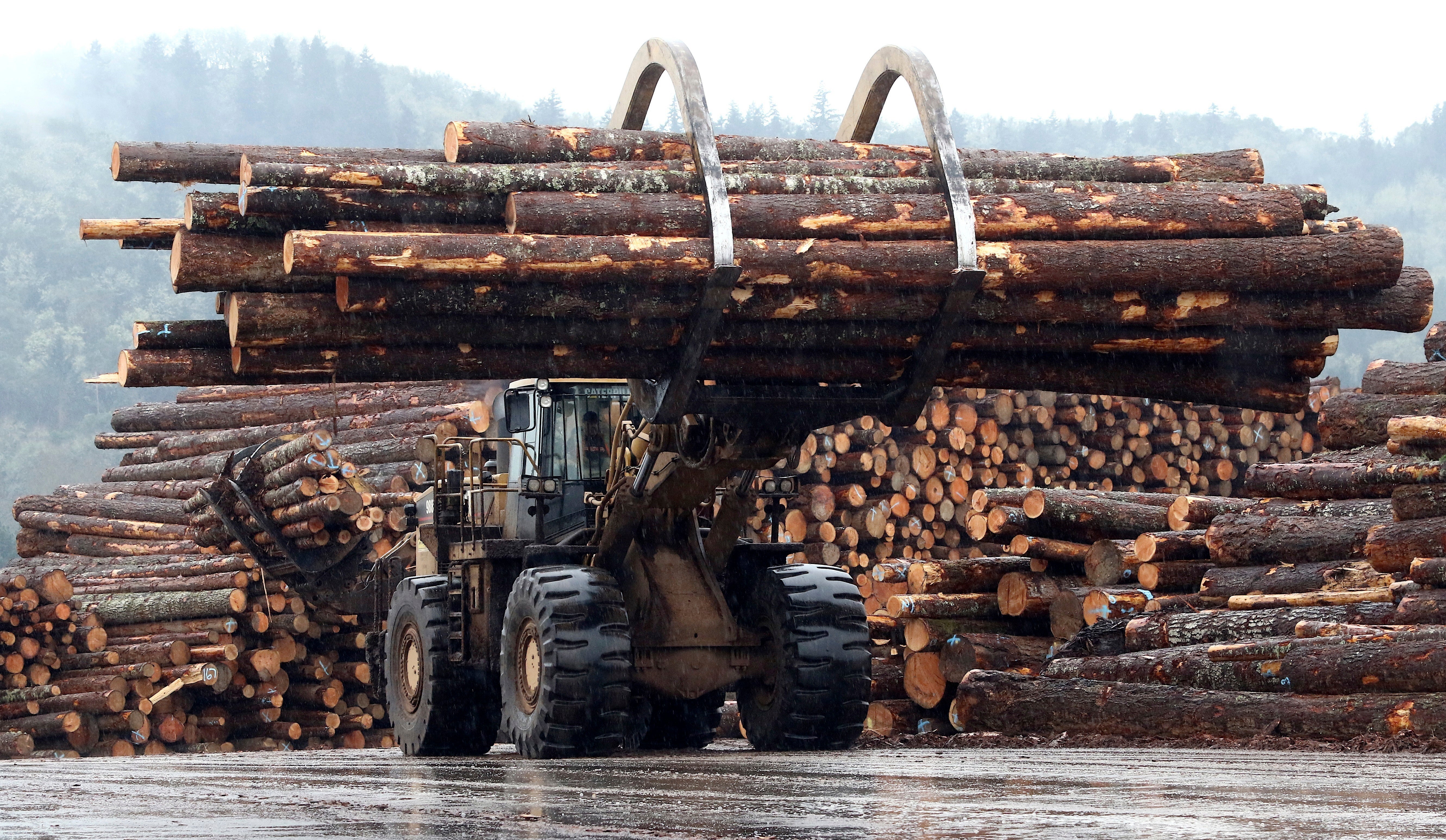 Oregon Timber Verdict Overturned