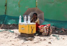 Bamboo, white paint, coconuts: India’s hands-on battle for survival in the blistering heatwave