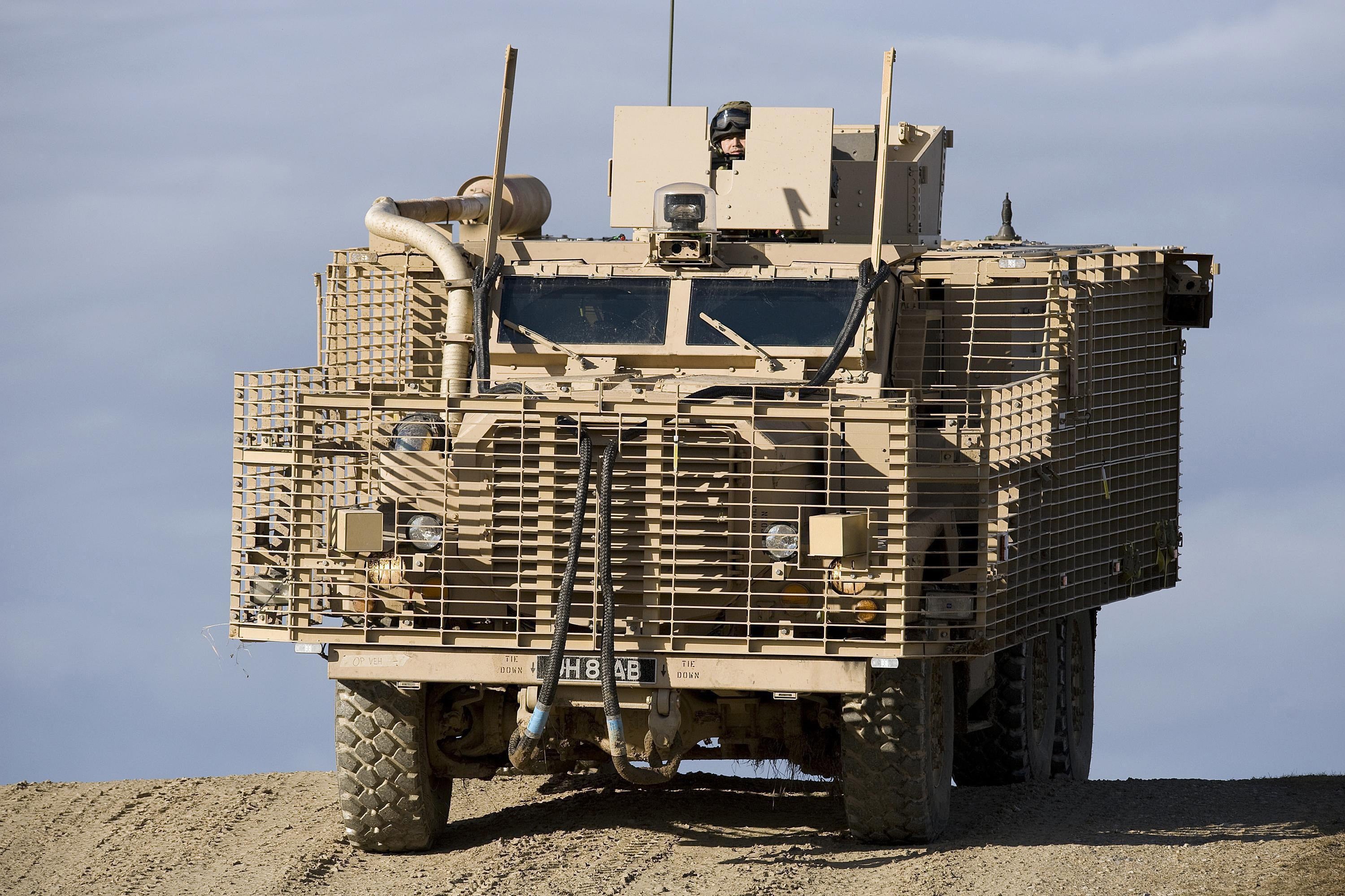 A Mastiff on patrol