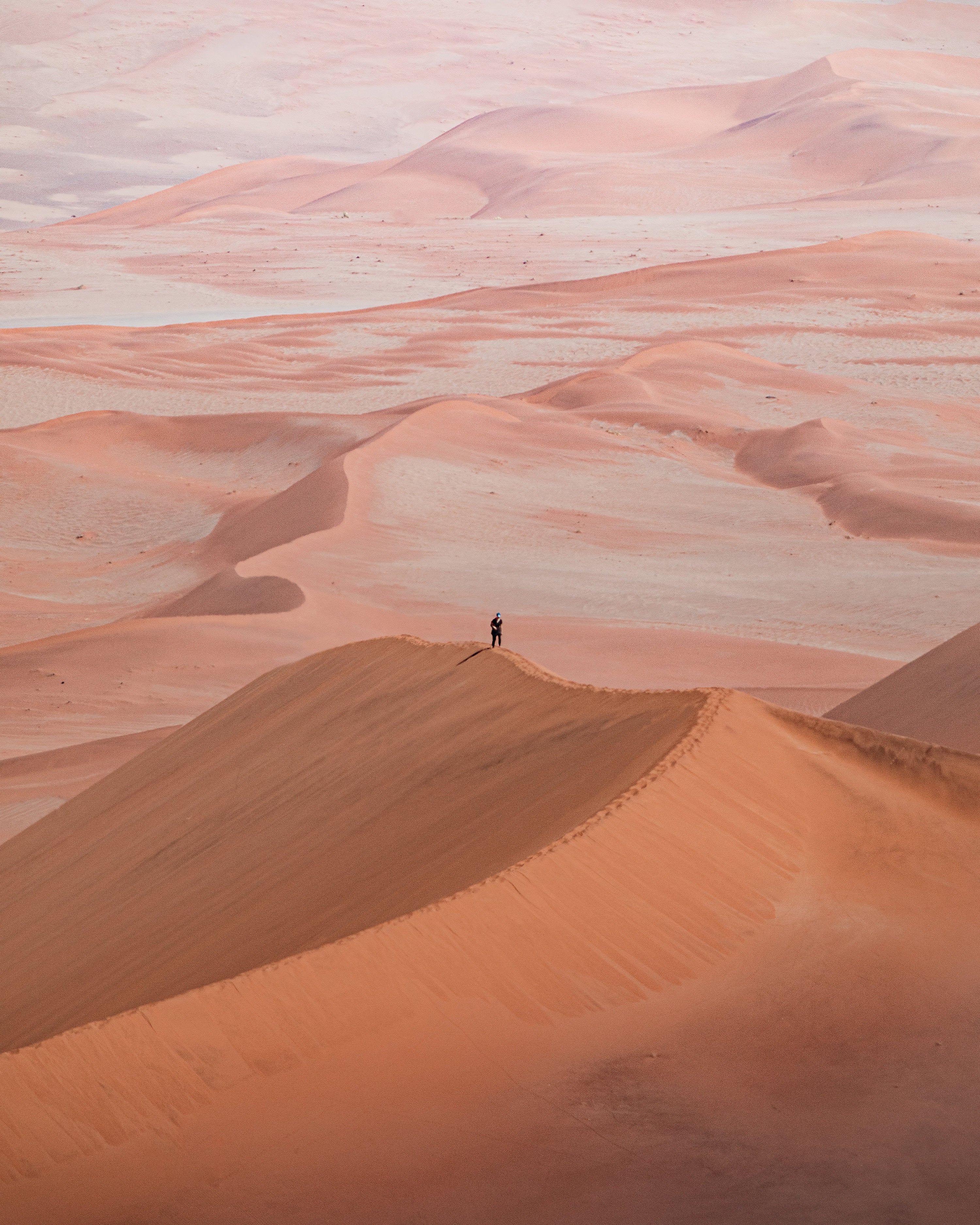 The Big Daddy dune in Sossusvlei National Park, Namibia, is among the tallest in the world