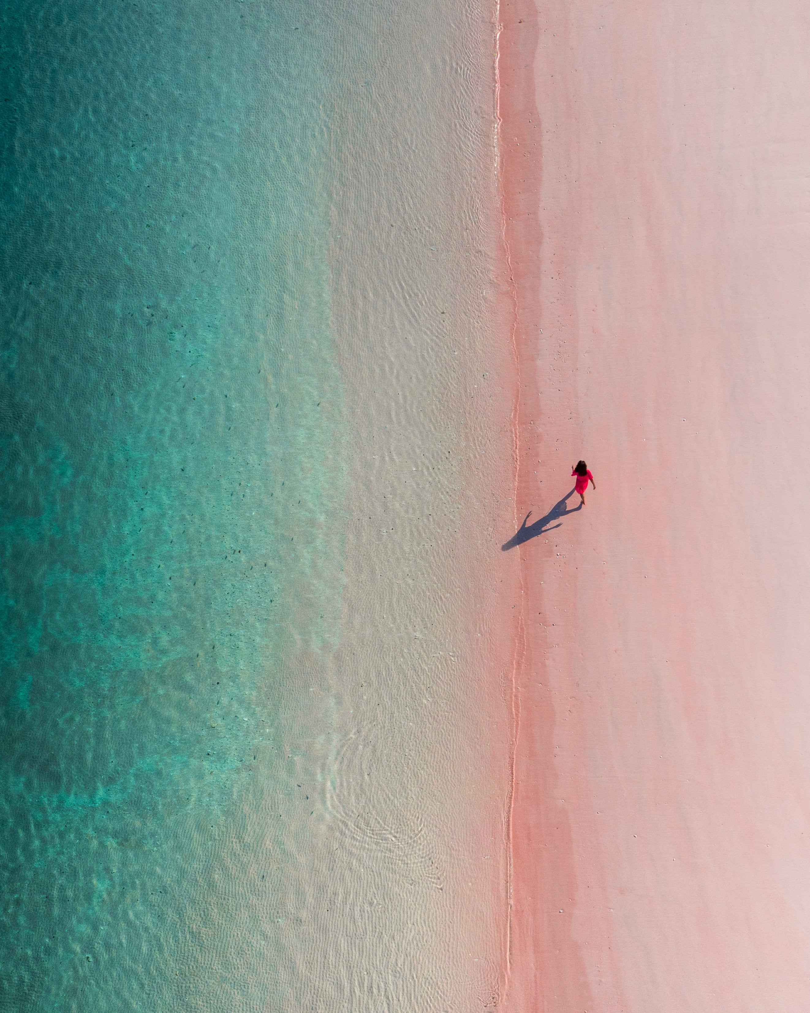 Komodo islands, Indonesia, has one of the world’s seven pink beaches. A microorganism called Foraminifera leaves red pigment on the coral reefs