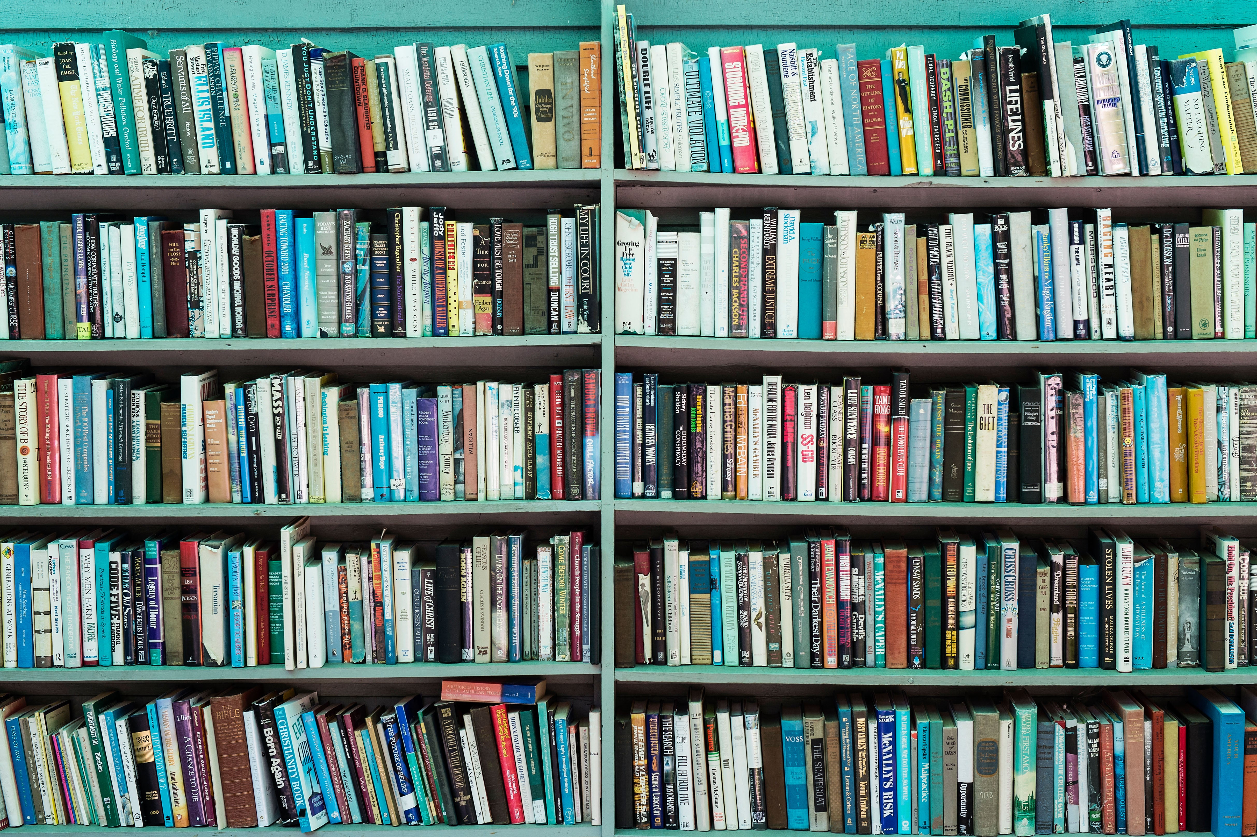 Shadow education secretary Bridget Phillipson said ministers should not micromanage the books pupils read in classrooms (Alamy/PA)