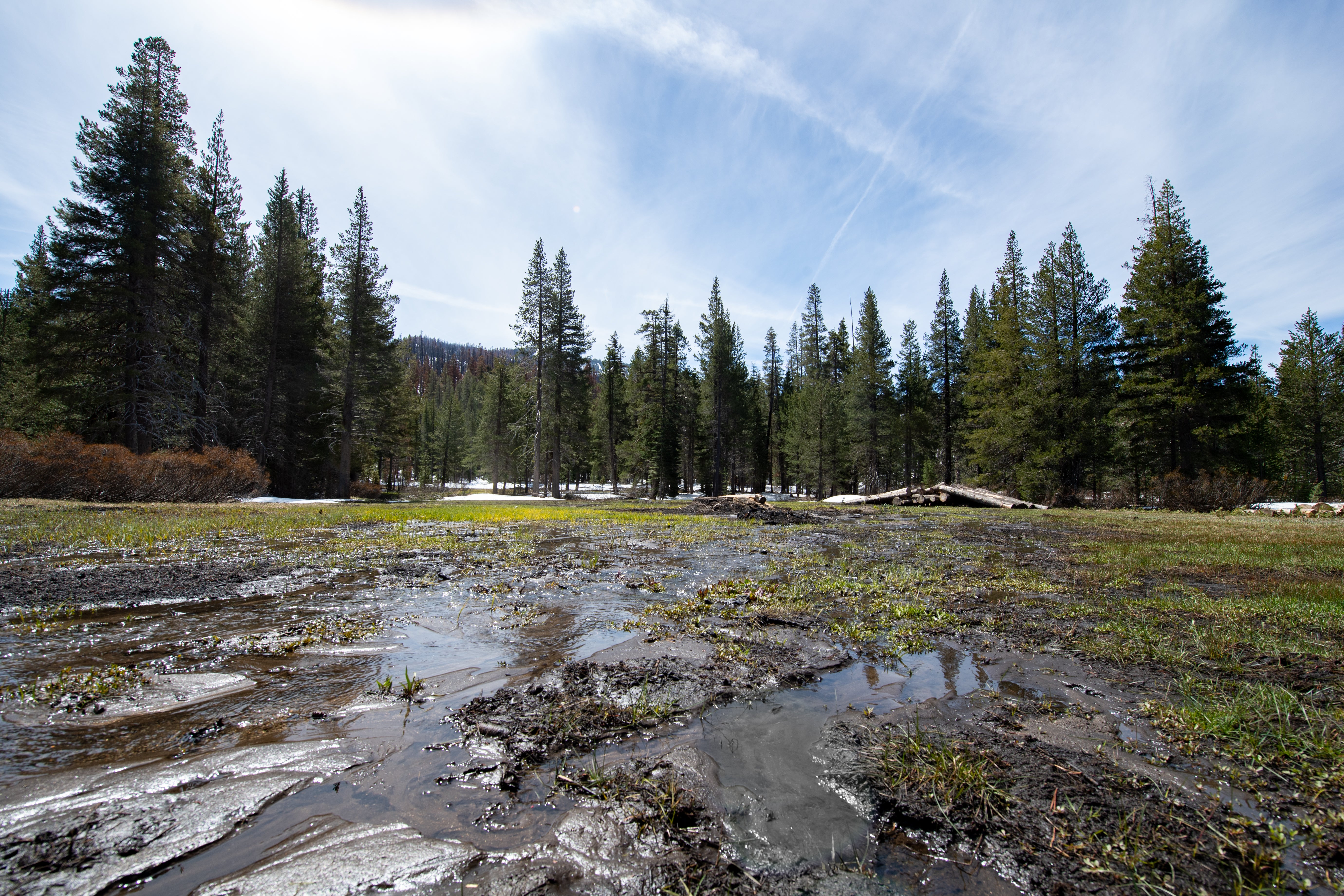‘The lack of frozen water is alarming’: California left with little snow as drought continues