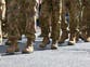 Teens to be offered military ‘gap year’ in new defence drive