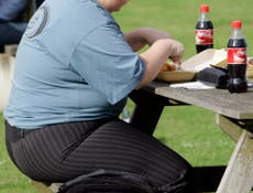 Obese children more likely to develop dementia, study suggests