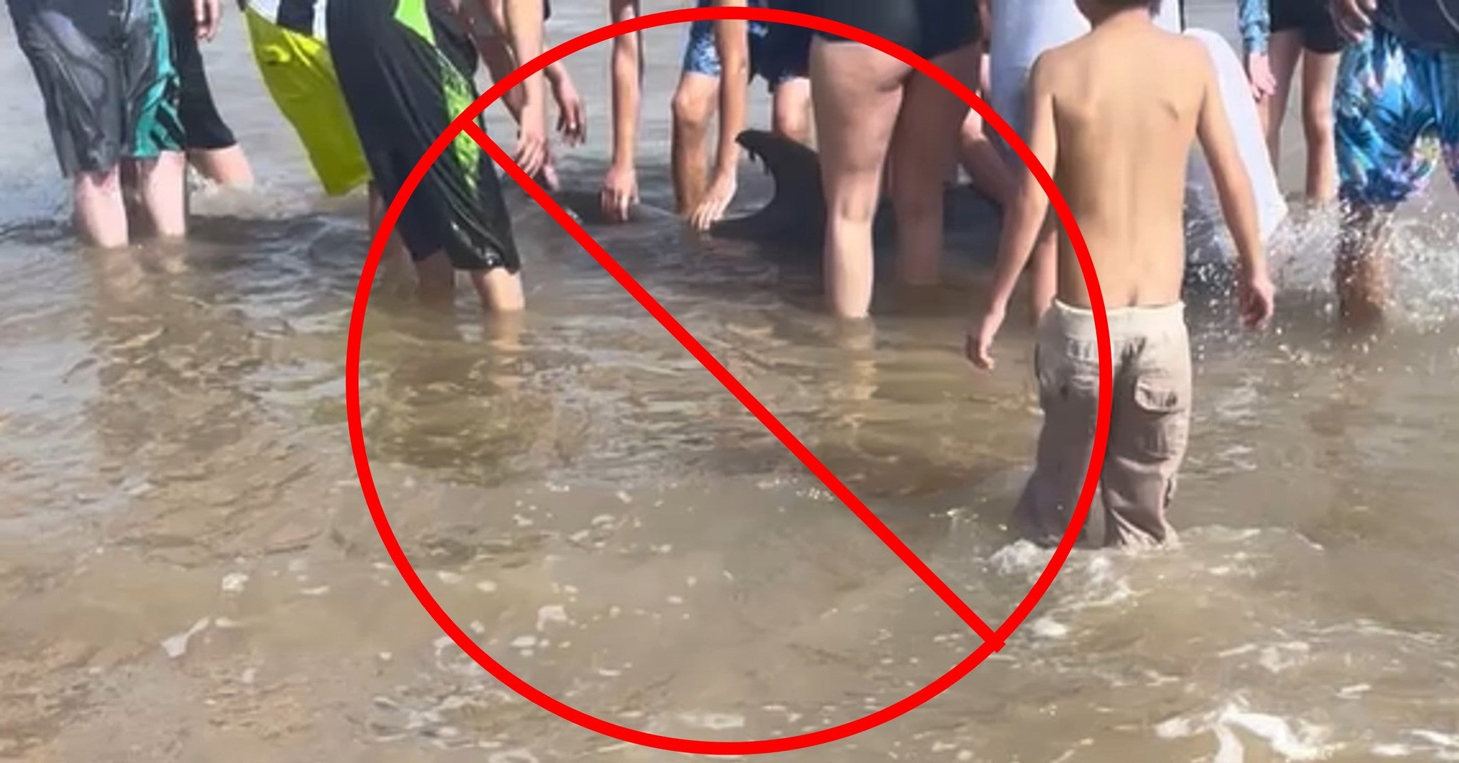 A stranded dolphin at a southern Texas beach is seen being touched and harassed by beachgoers. It is illegal to feed or harass wild marine mammals including dolphins, porpoises, whales, seals, sea lions, and manatees.