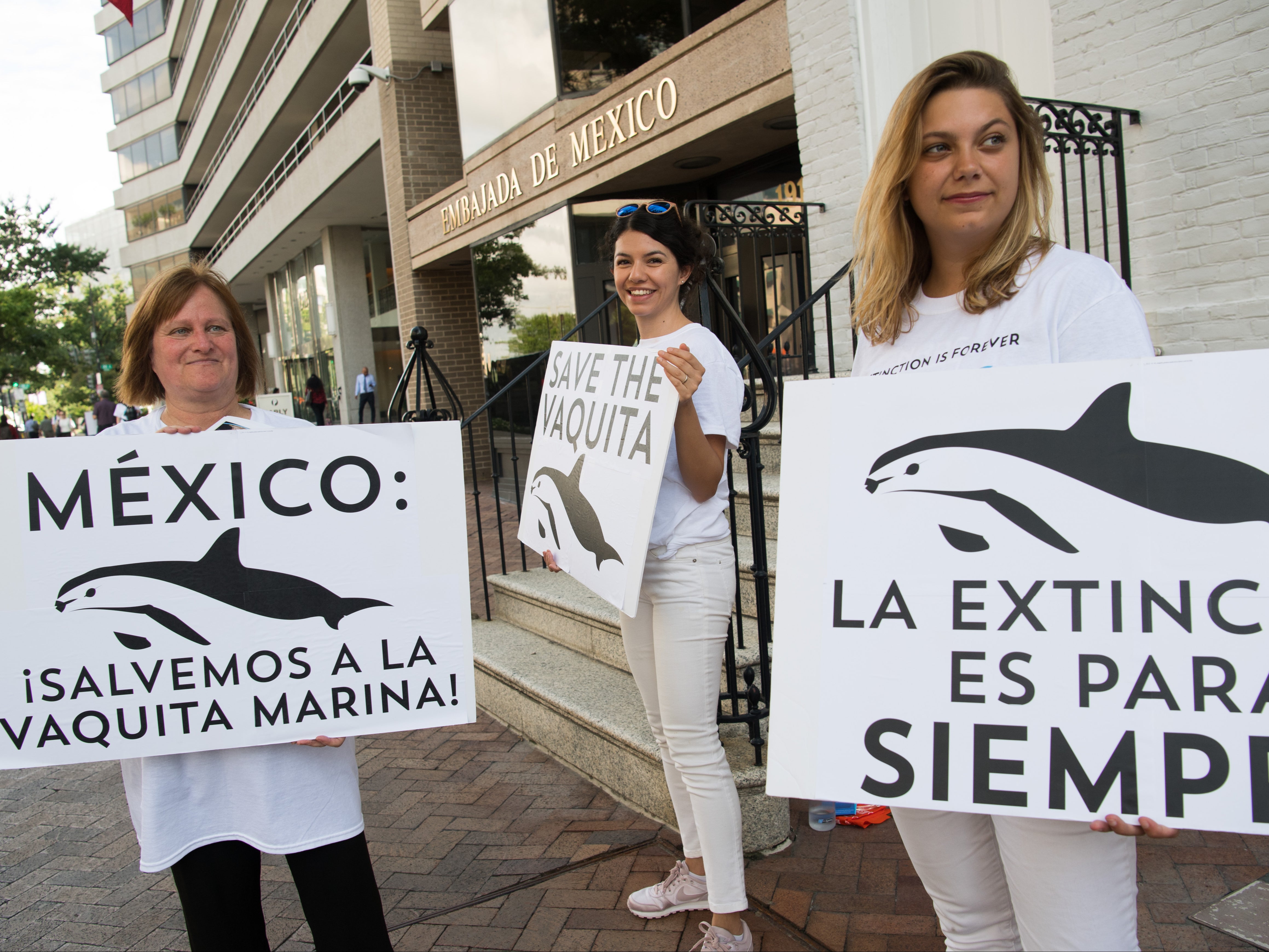 Demonstrators outside the Mexican Embassy in Washington