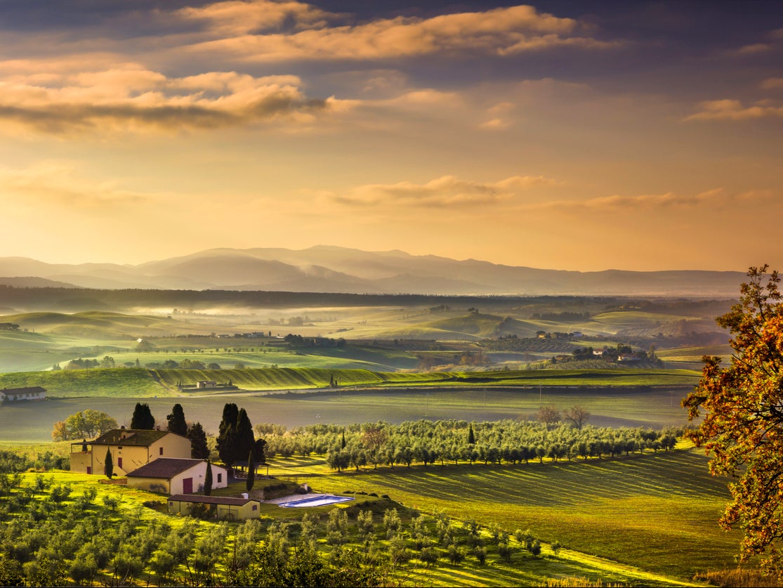 Go green on a trip to Tuscany