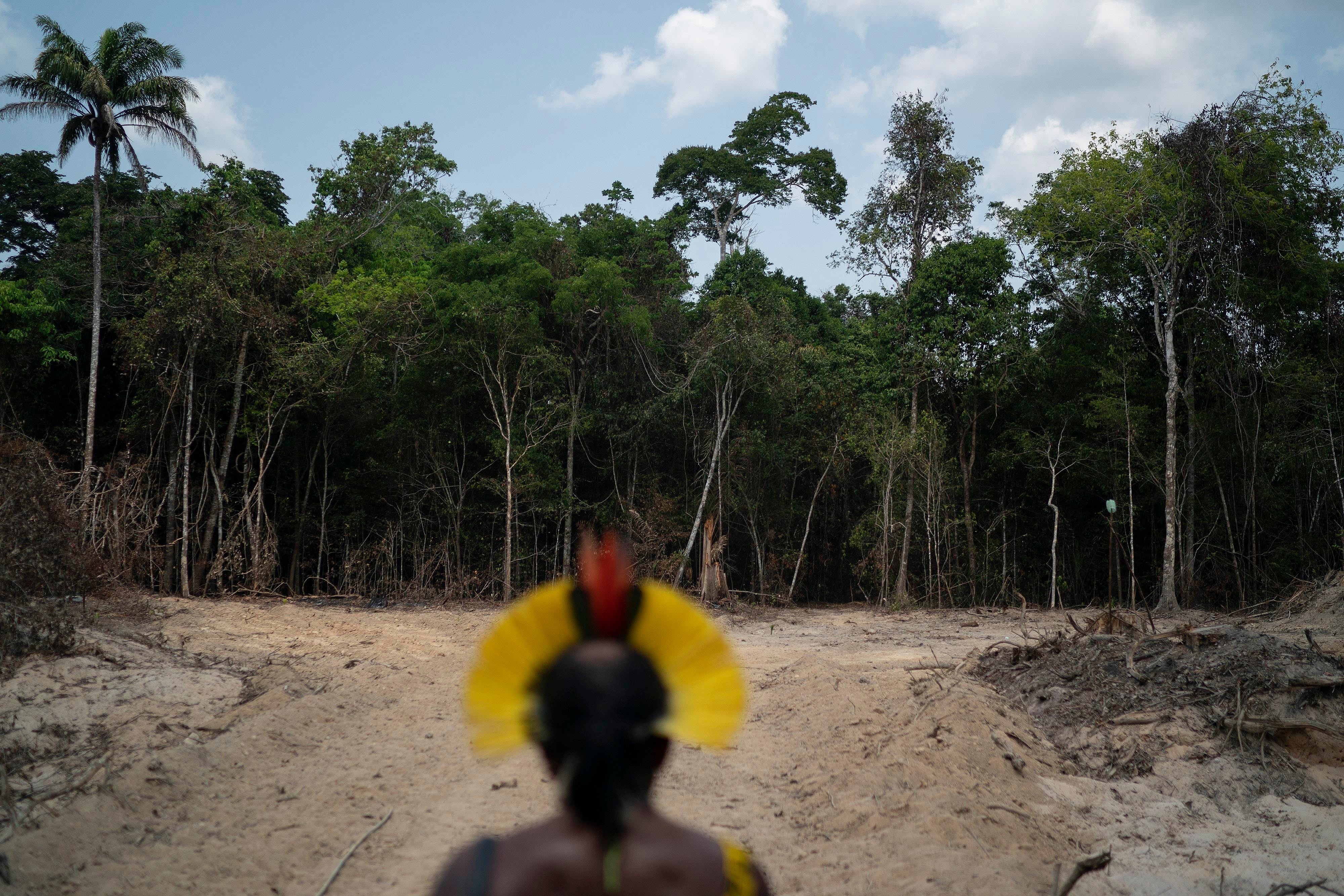 Brazil Amazon Deforestation