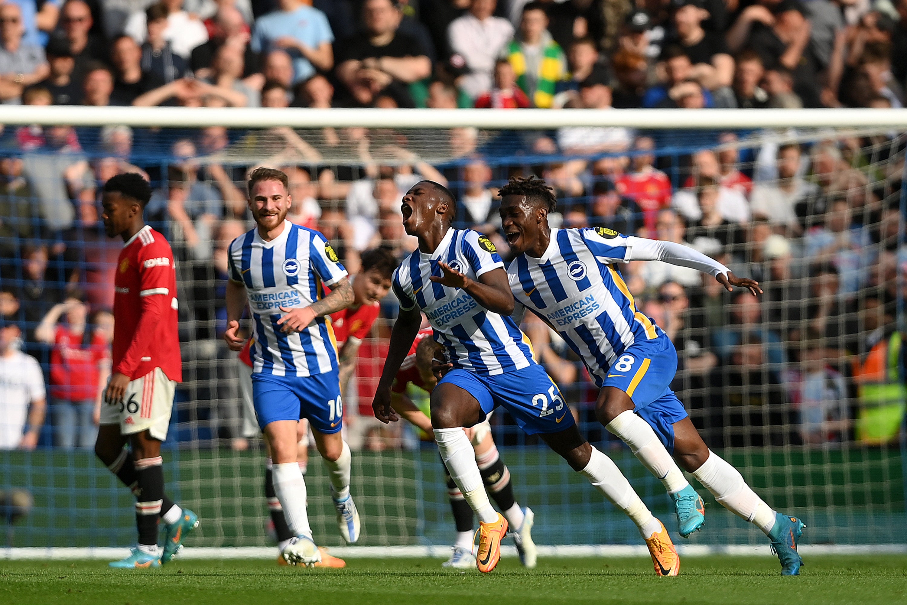 Man Utd travel to face Brighton on the south coast