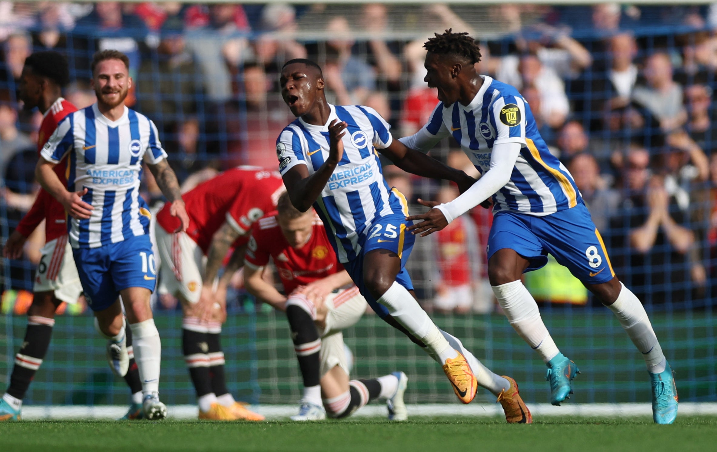 Moises Caicedo celebrates with Yves Bissouma yesterday after scoring Albion’s first goal