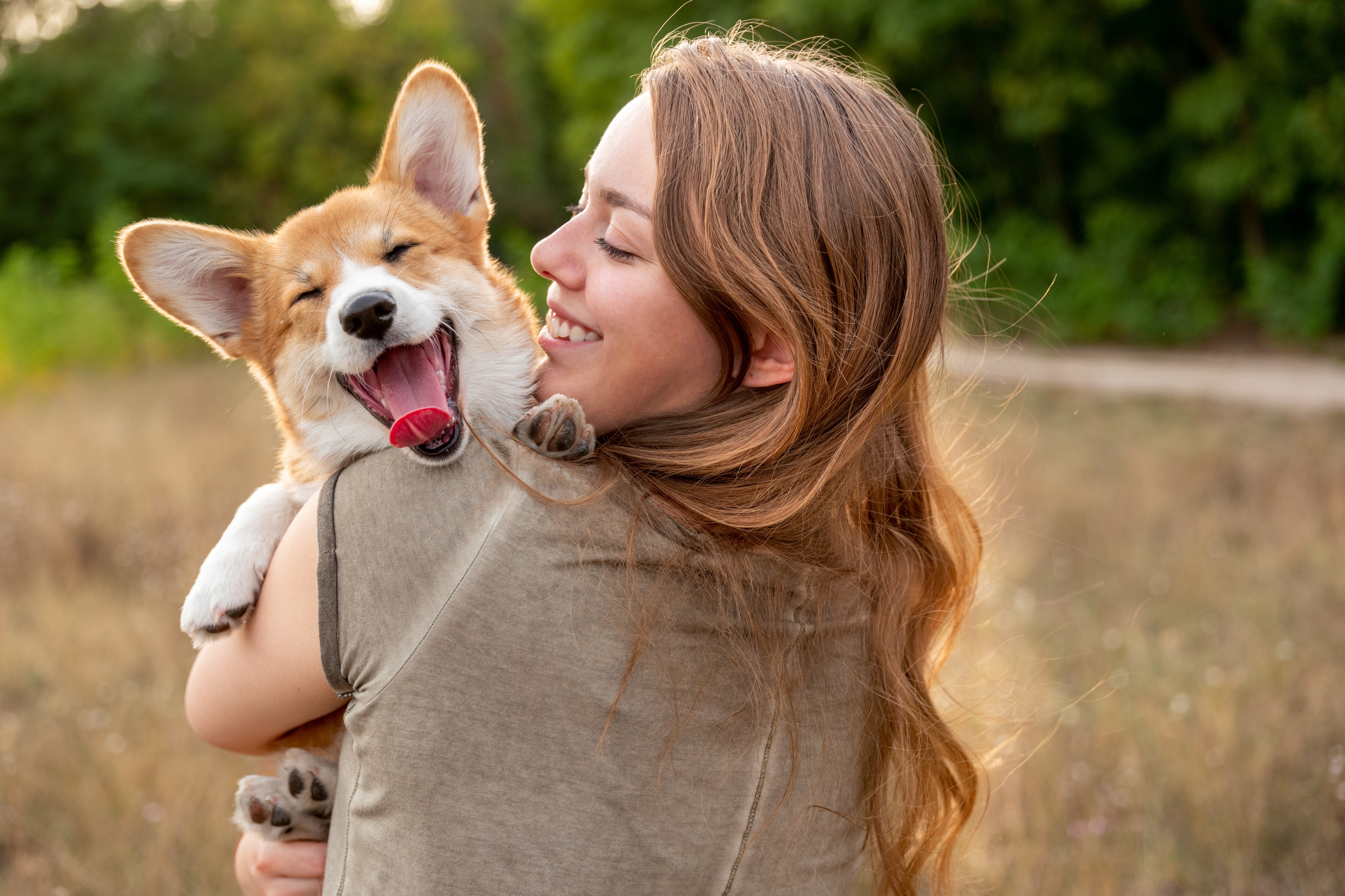 In our muddy modern lives, I think it’s the simplicity of dogs that makes them so comforting