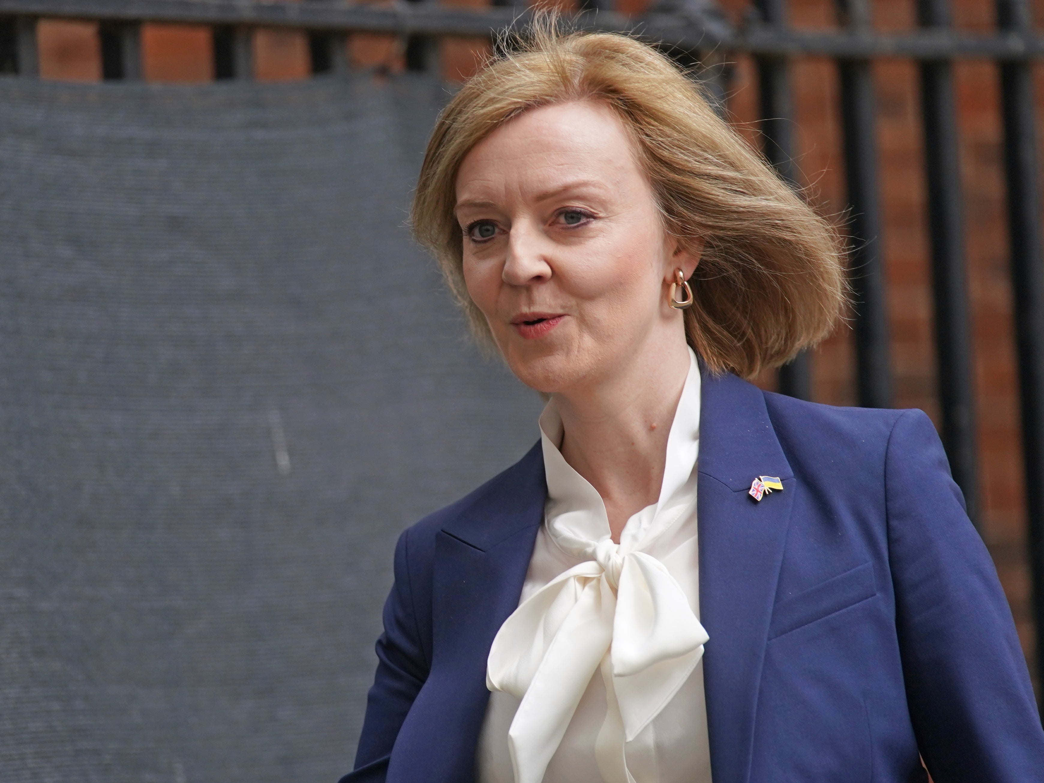 Foreign secretary Liz Truss