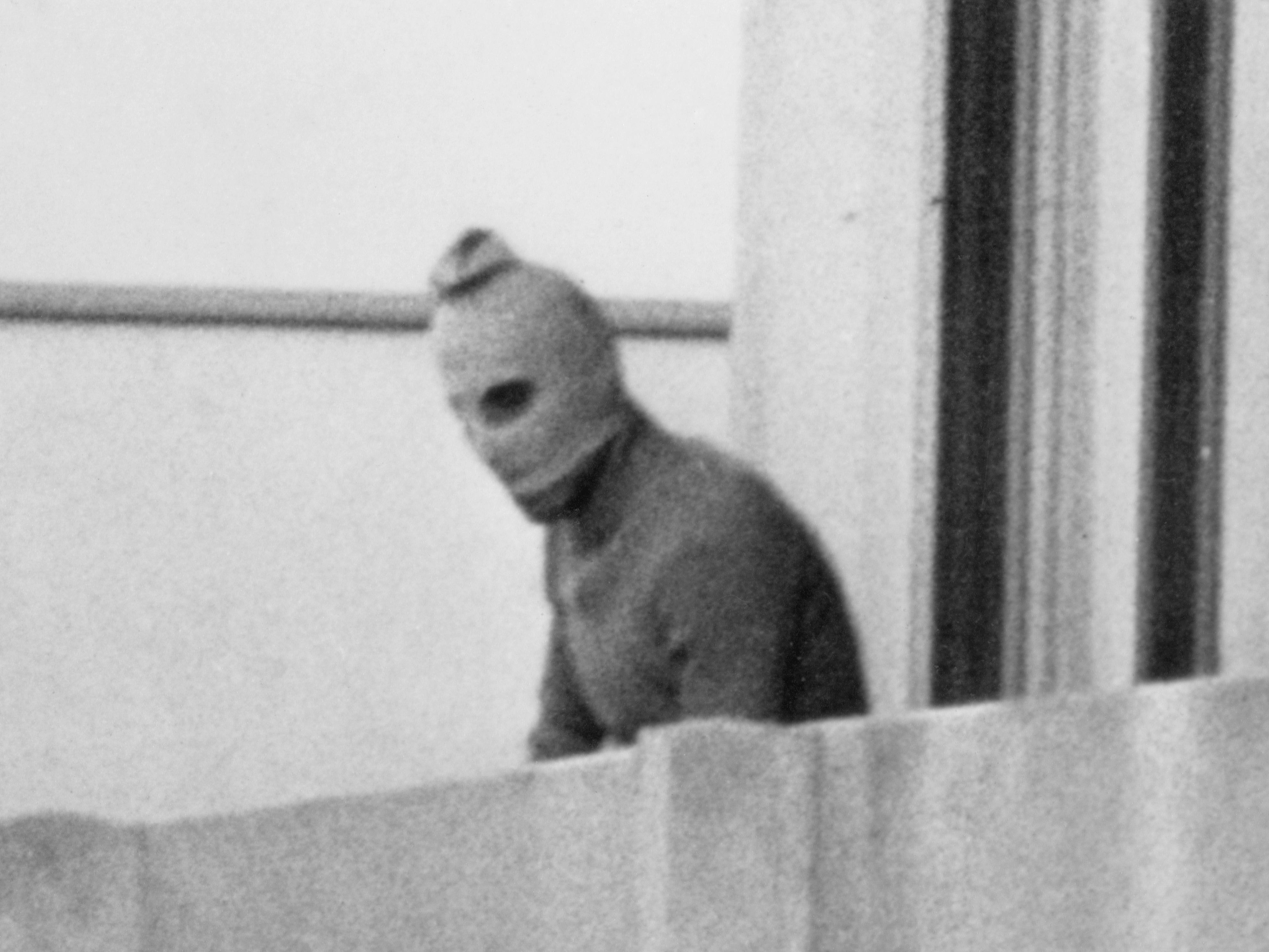 A member of Black September on the balcony of the Israeli quarters