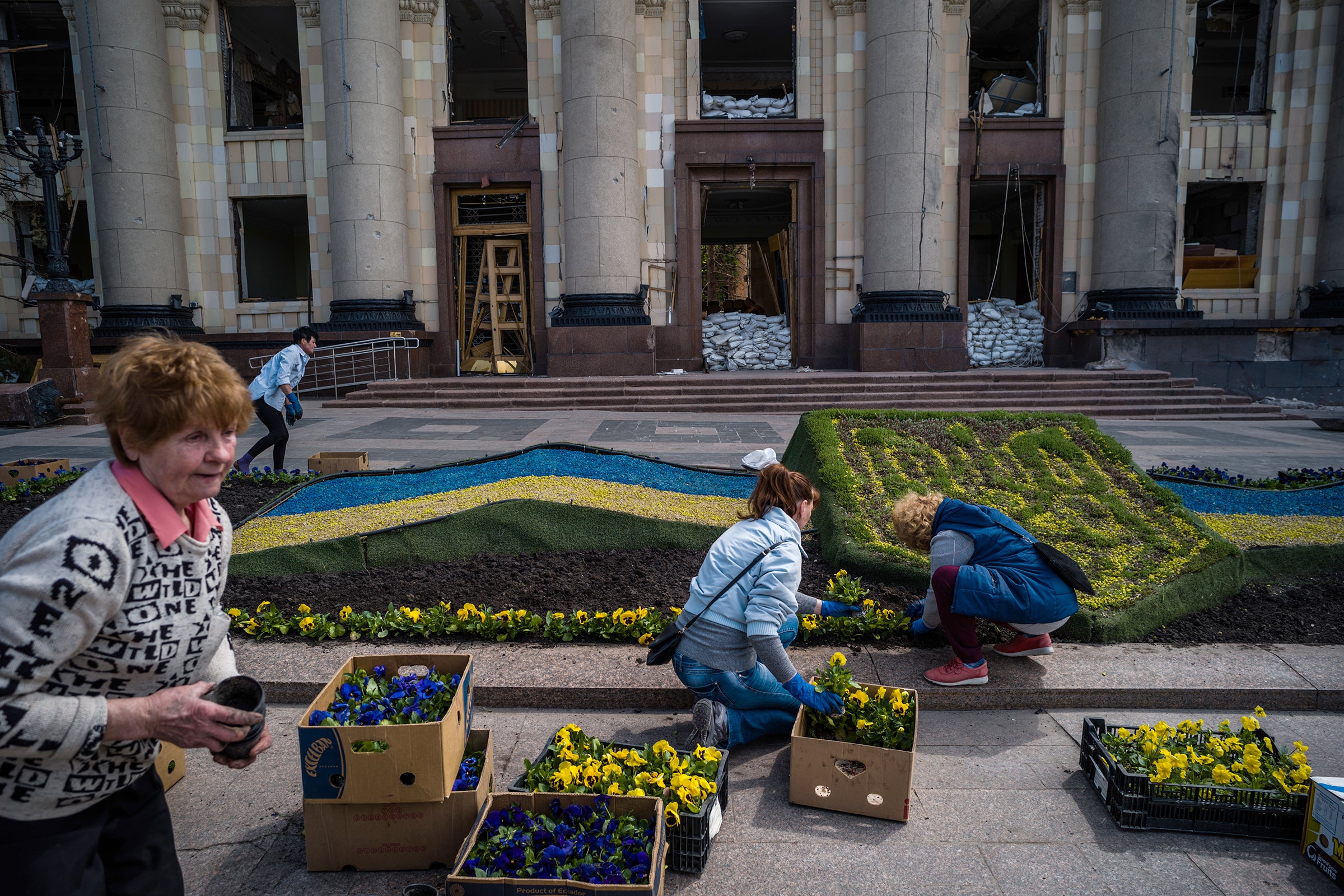 Valentina Orlova and other volunteers plant pansies