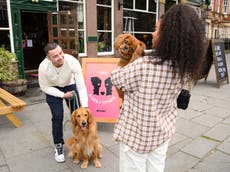 Tinder launches pop-up dating experience for dog owners