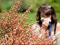 How one hay fever medication helped my fight against the pollen bomb