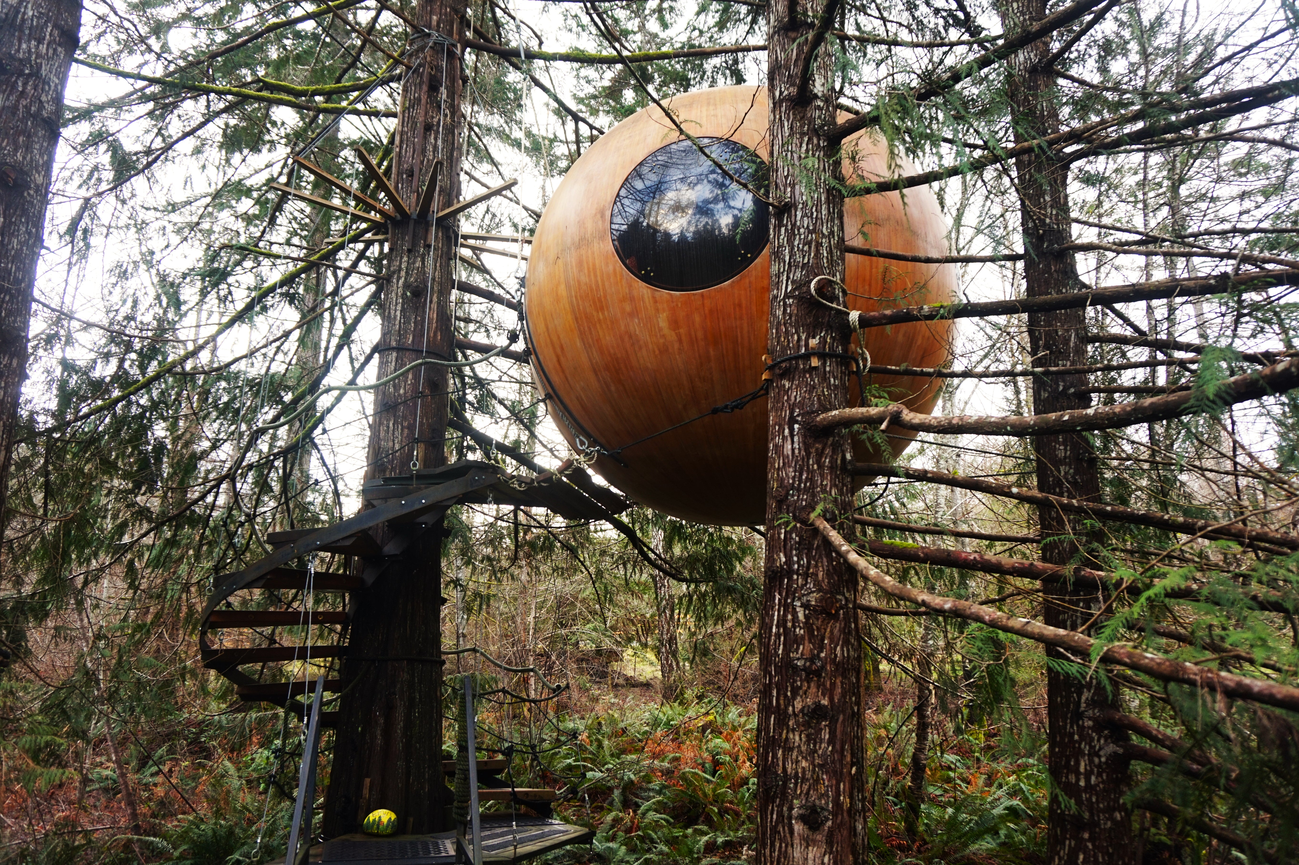 Immersed in nature: Free Spirit Spheres