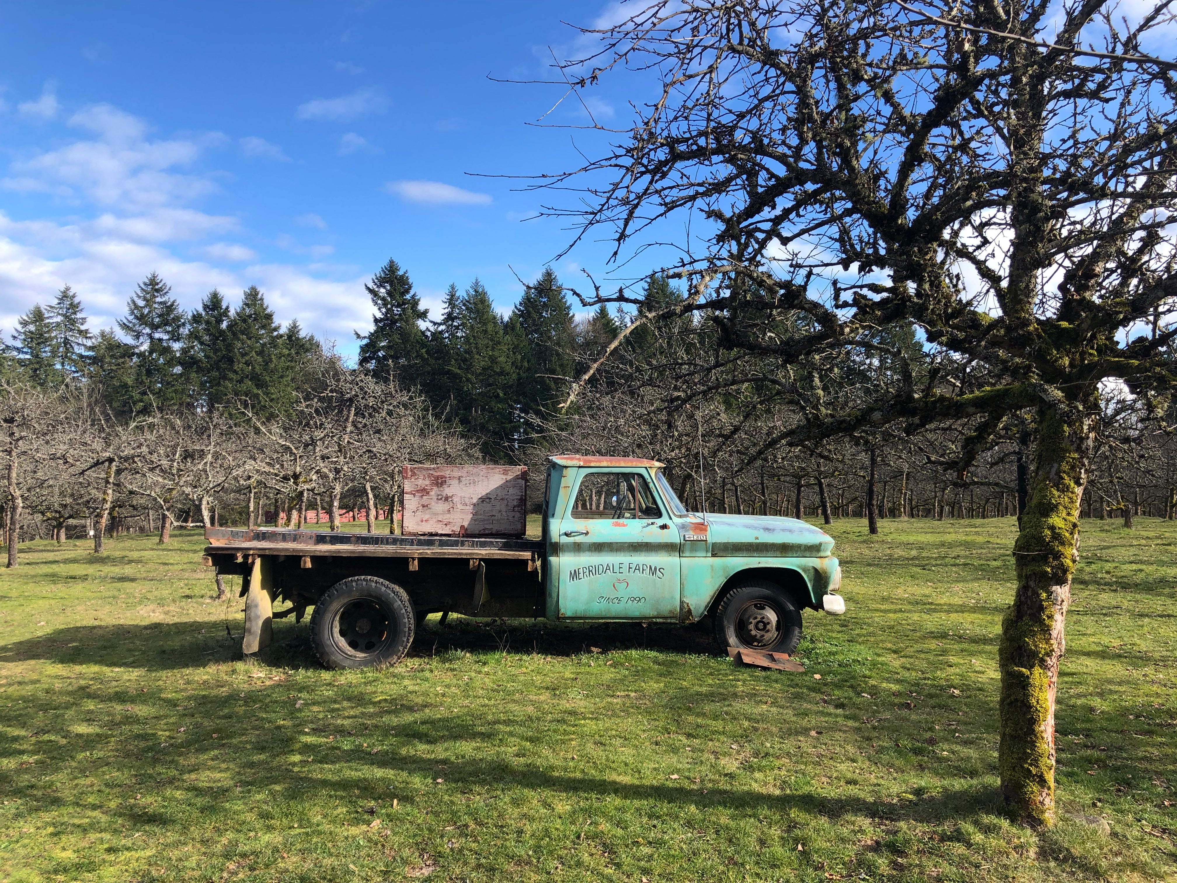 Merridale Cidery and Distillery offers tours and tastings