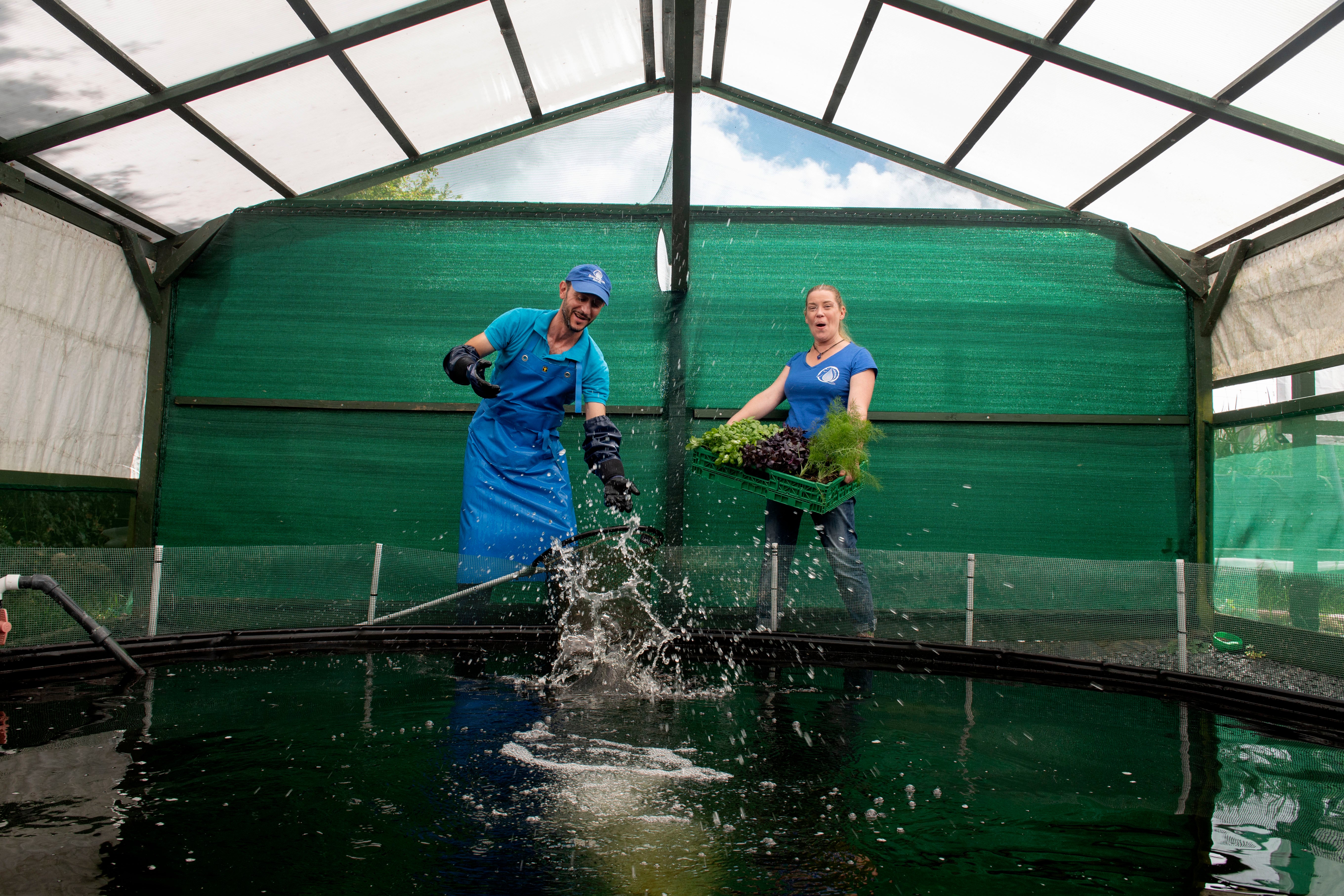 Bioaqua’s pioneering aquaponics