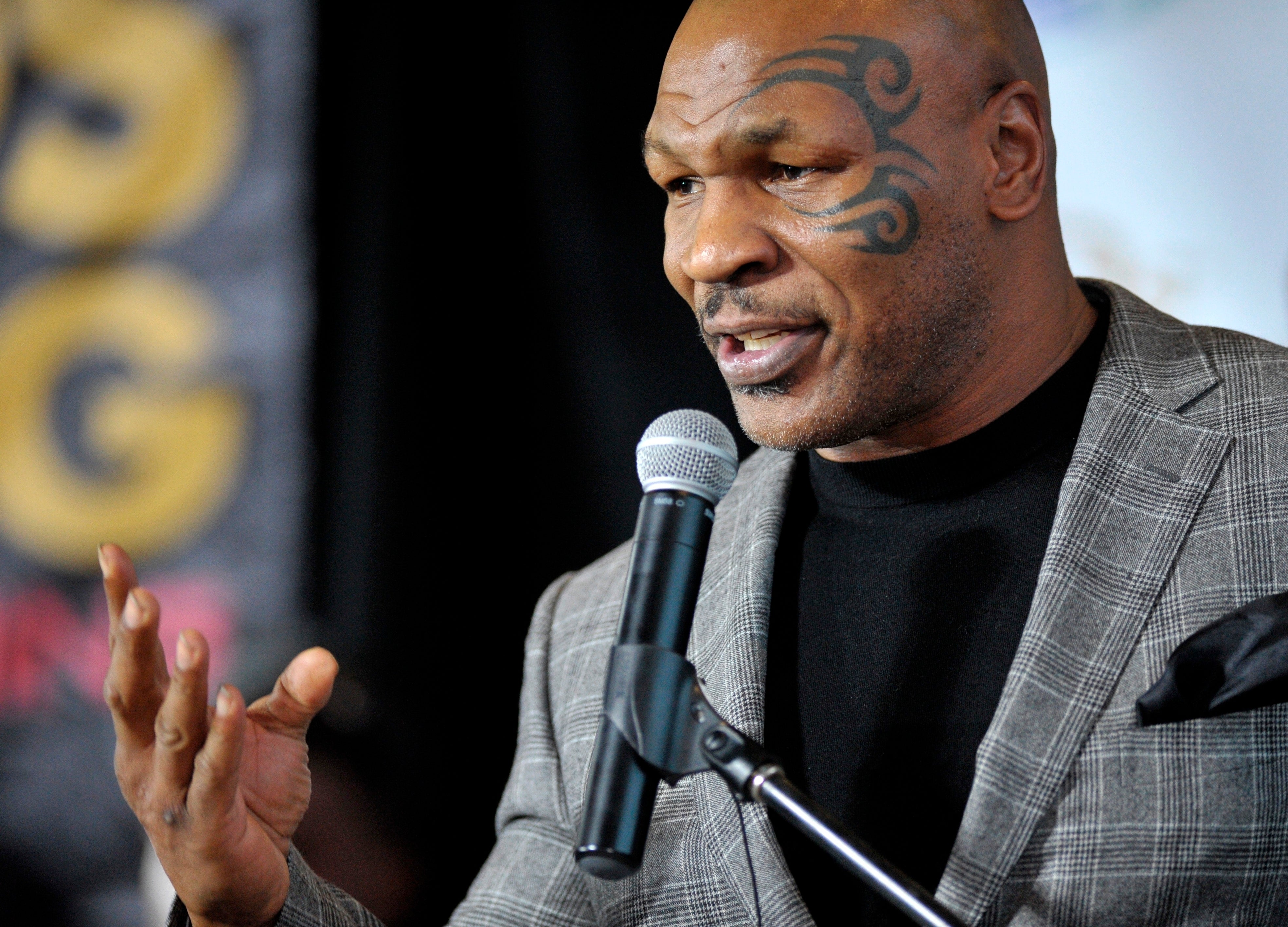 Mike Tyson is being sued by a woman who says she suffered ‘physical, psychological and emotional injury’ after being raped by the former boxer in the 1990s