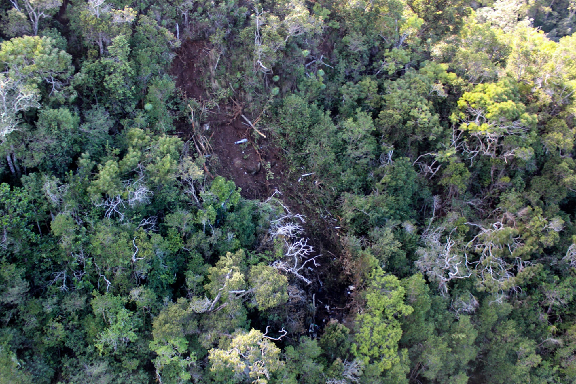Hawaii Helicopter Crash
