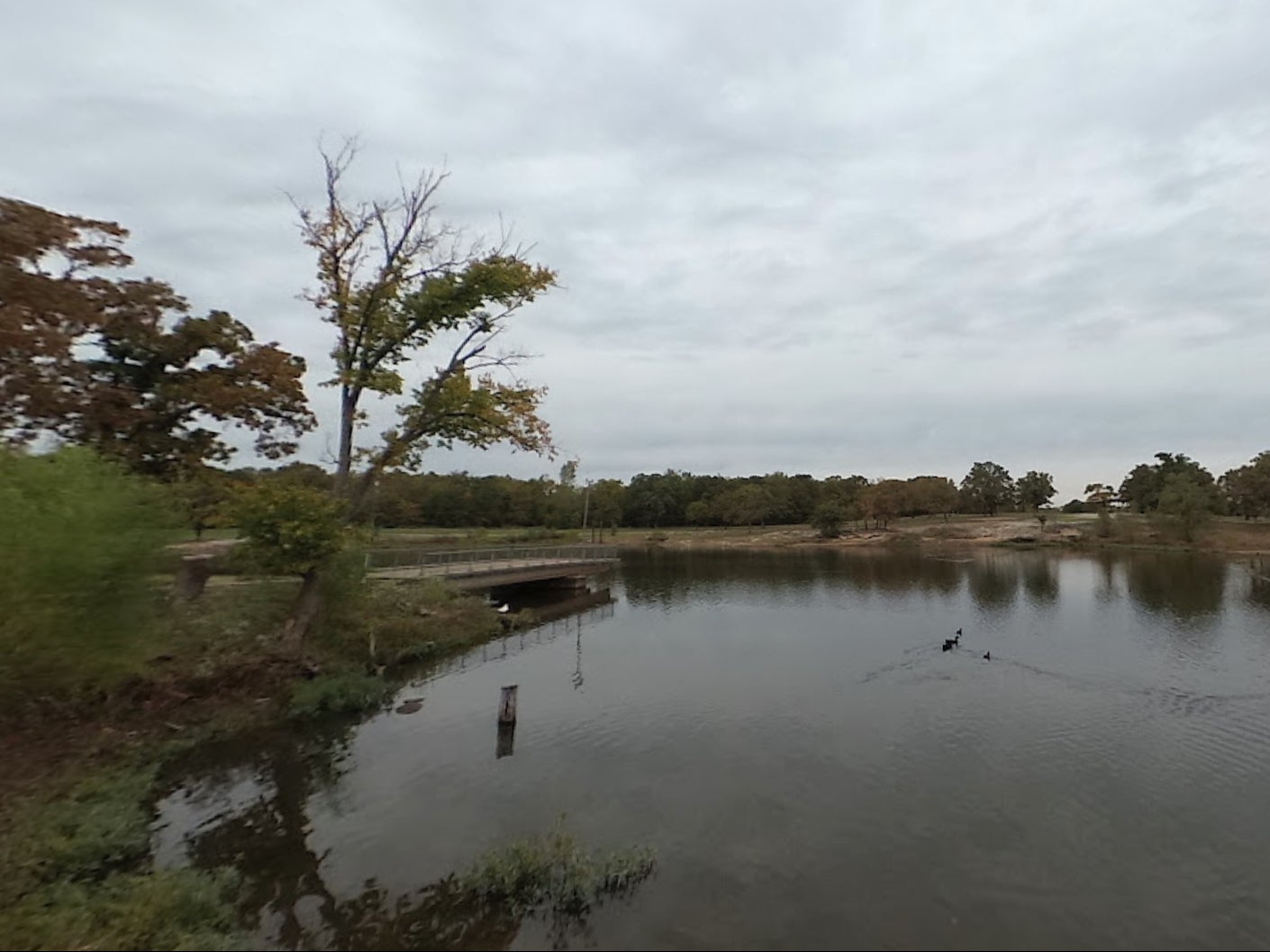 Oklahoma’s Claremore Lake is not usually home to alligators