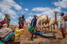 Climate change to make droughts longer, more common, says UN