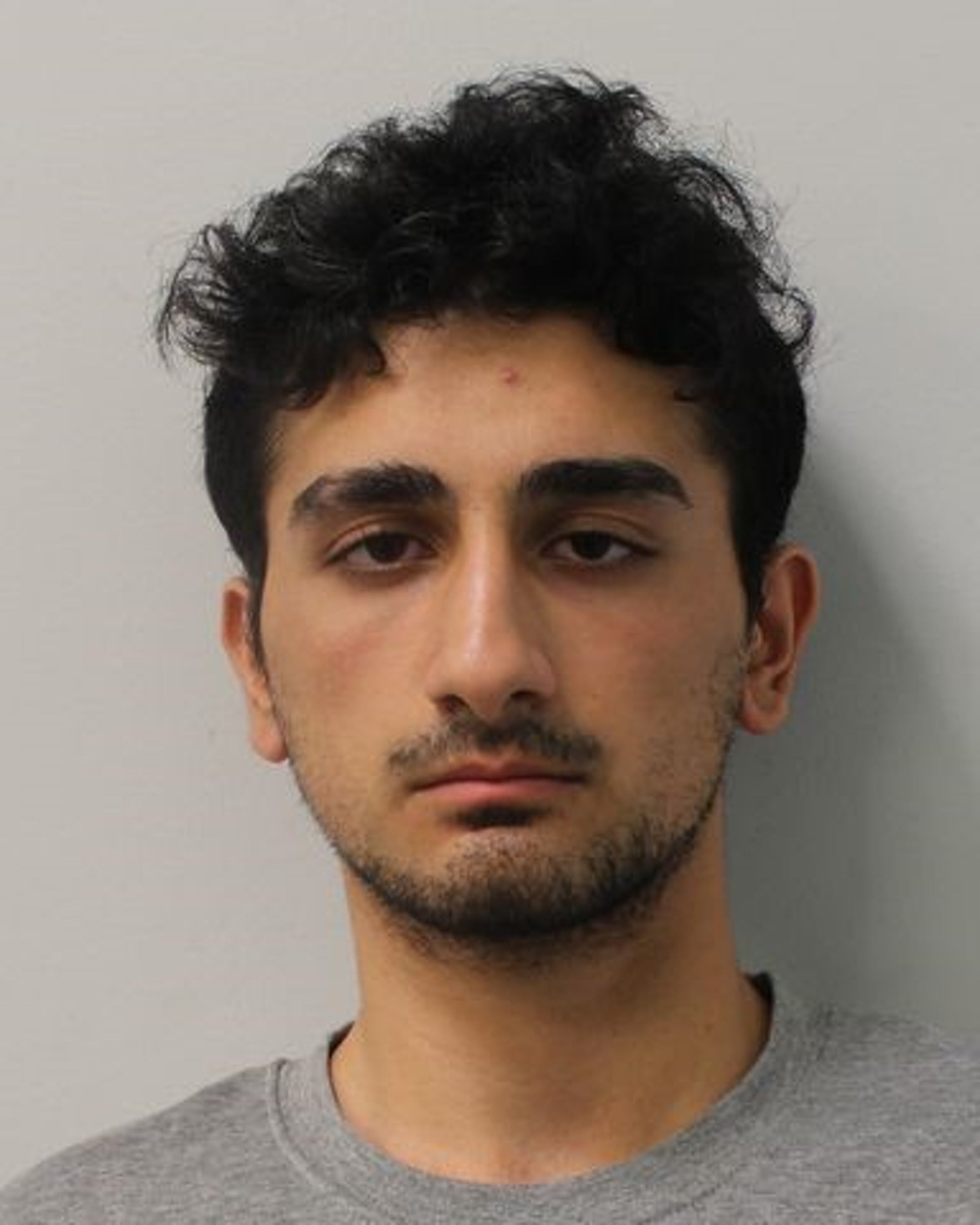 Danyal Hussein killed the two sisters in a random attack in the north London park