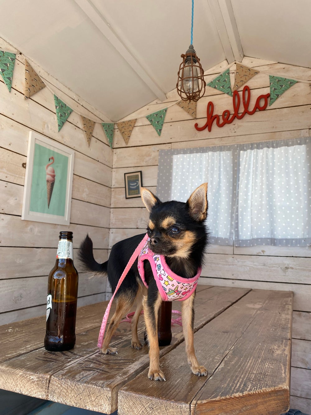 Twiggy loves her beach trips (Collect/PA Real Life)