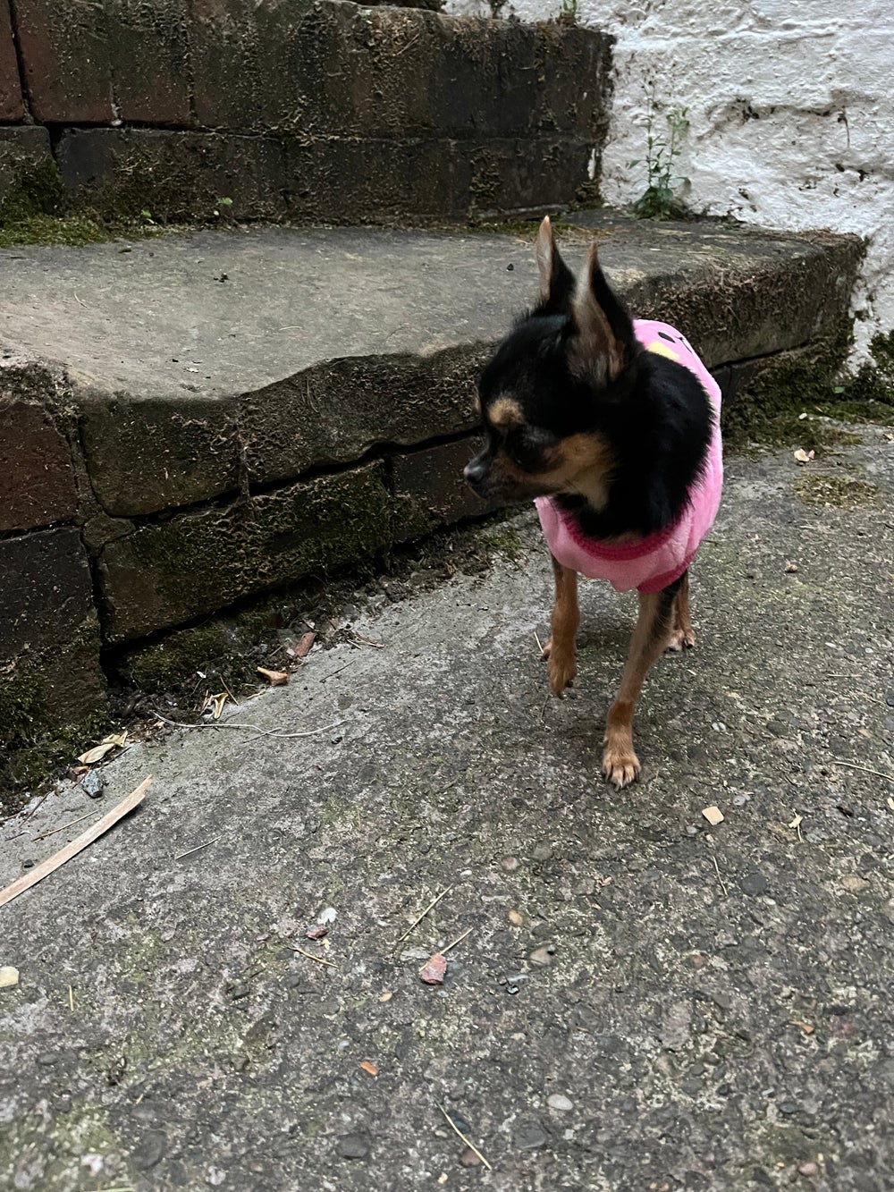 Twiggy next to the step she jumped from (Collect/PA Real Life)