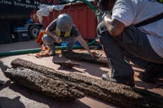 Alabama shipwreck holds key for kin of enslaved Africans