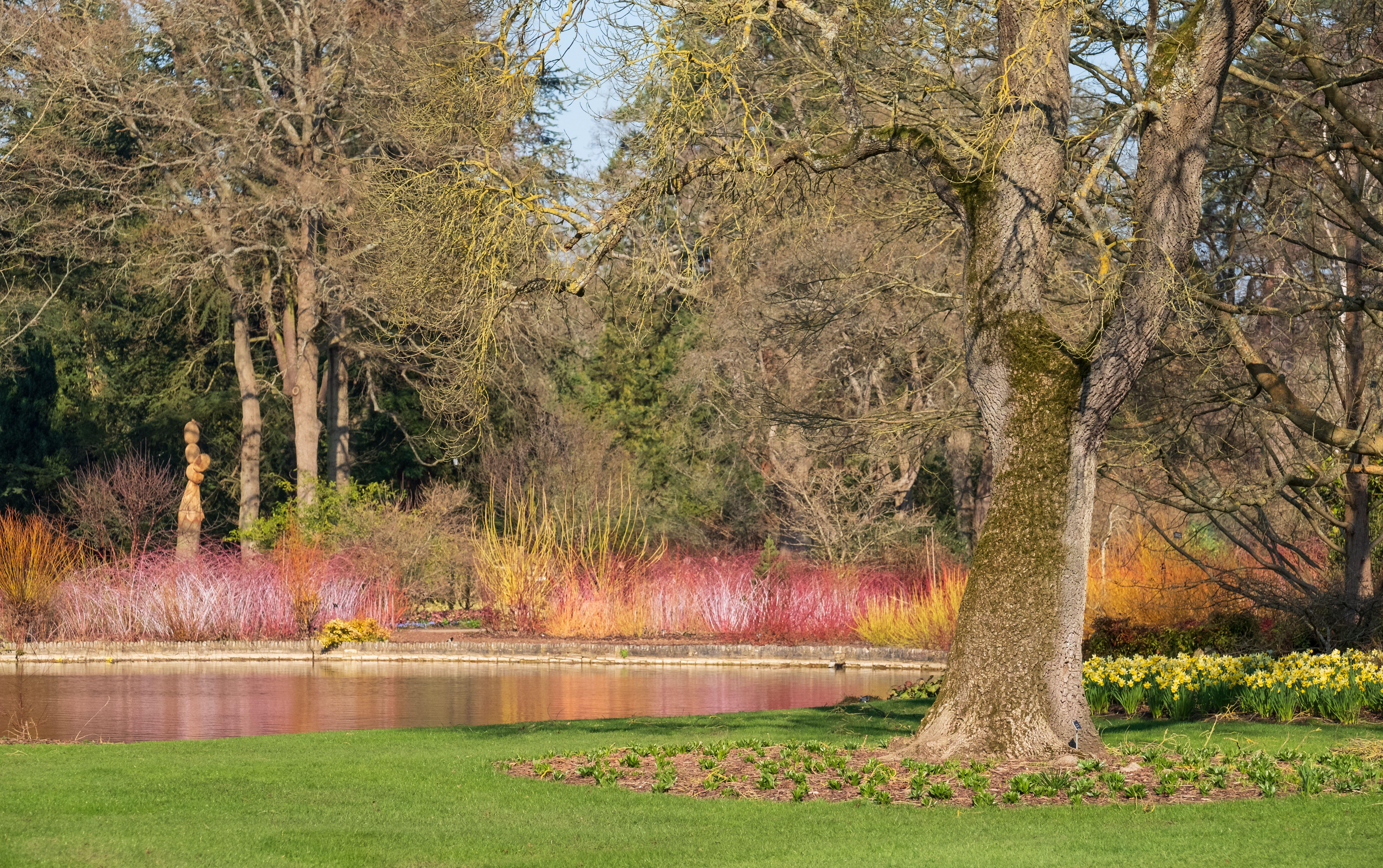 The Royal Horticultural Society has expressed disappointment at Transport Secretary Grant Shapps’ decision to approve a major revamp of a motorway junction adjacent to its most popular garden (Lois GoBe/Alamy Stock Photo/PA)