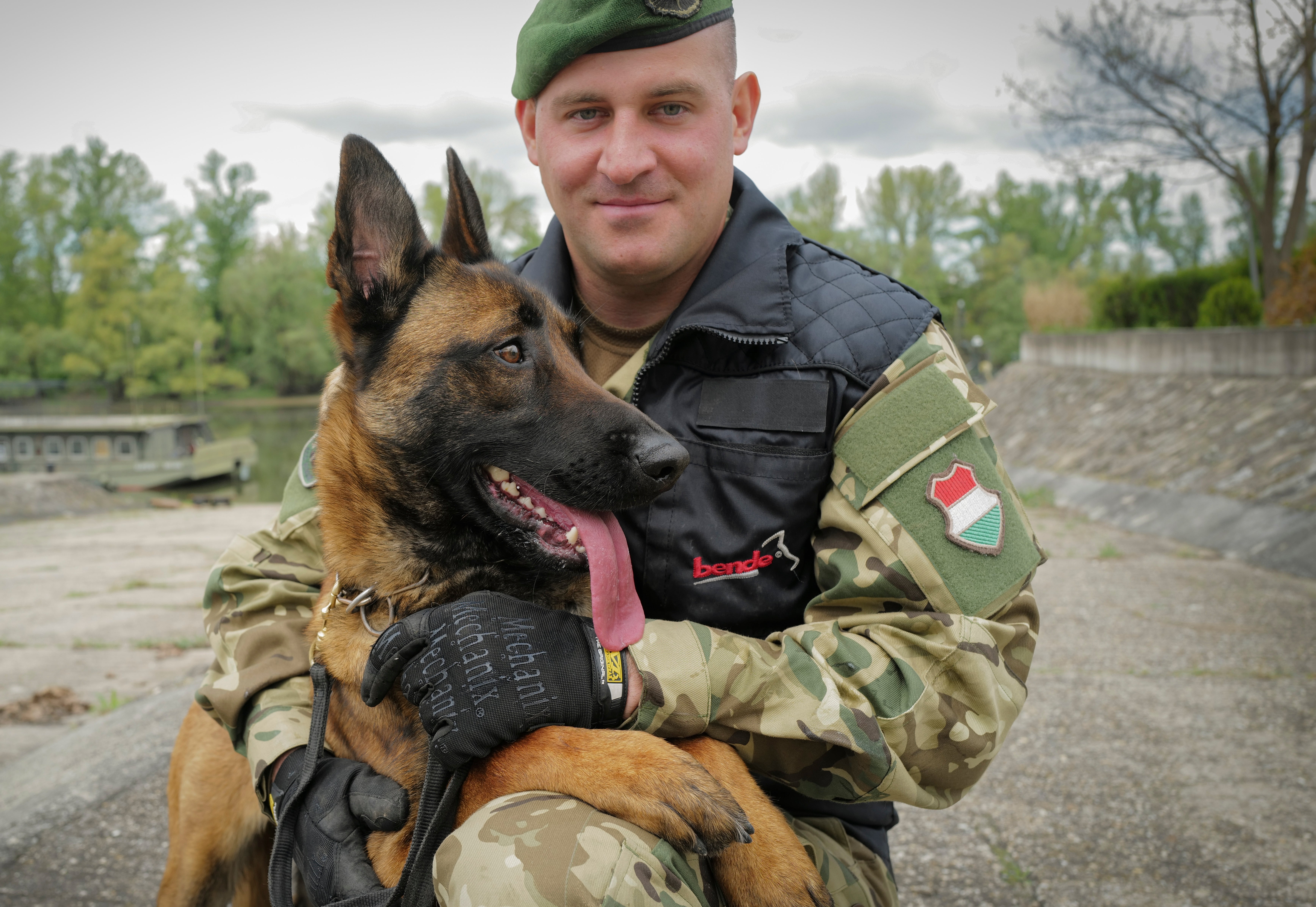 Hungary Bomb Dog