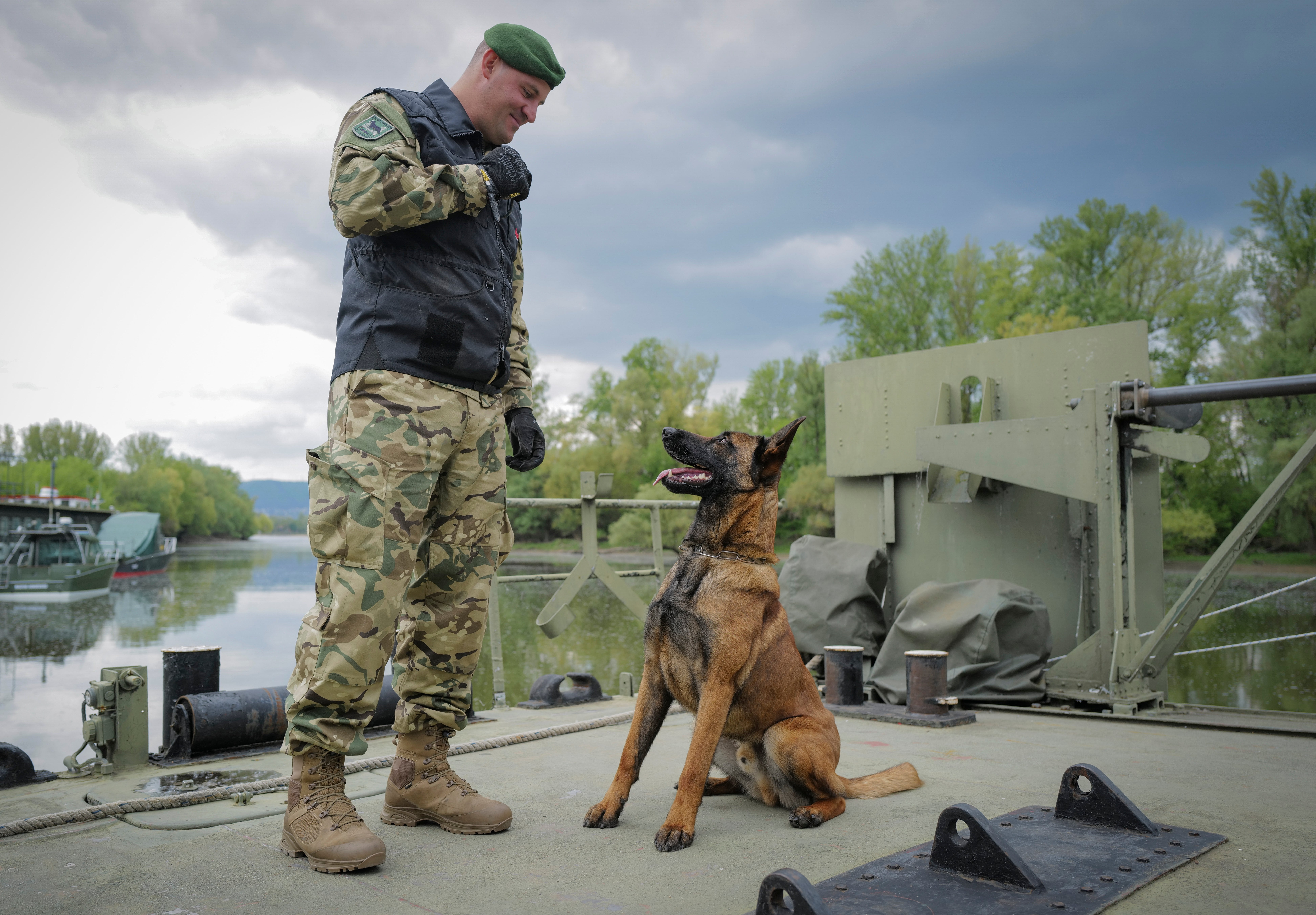 Hungary Bomb Dog
