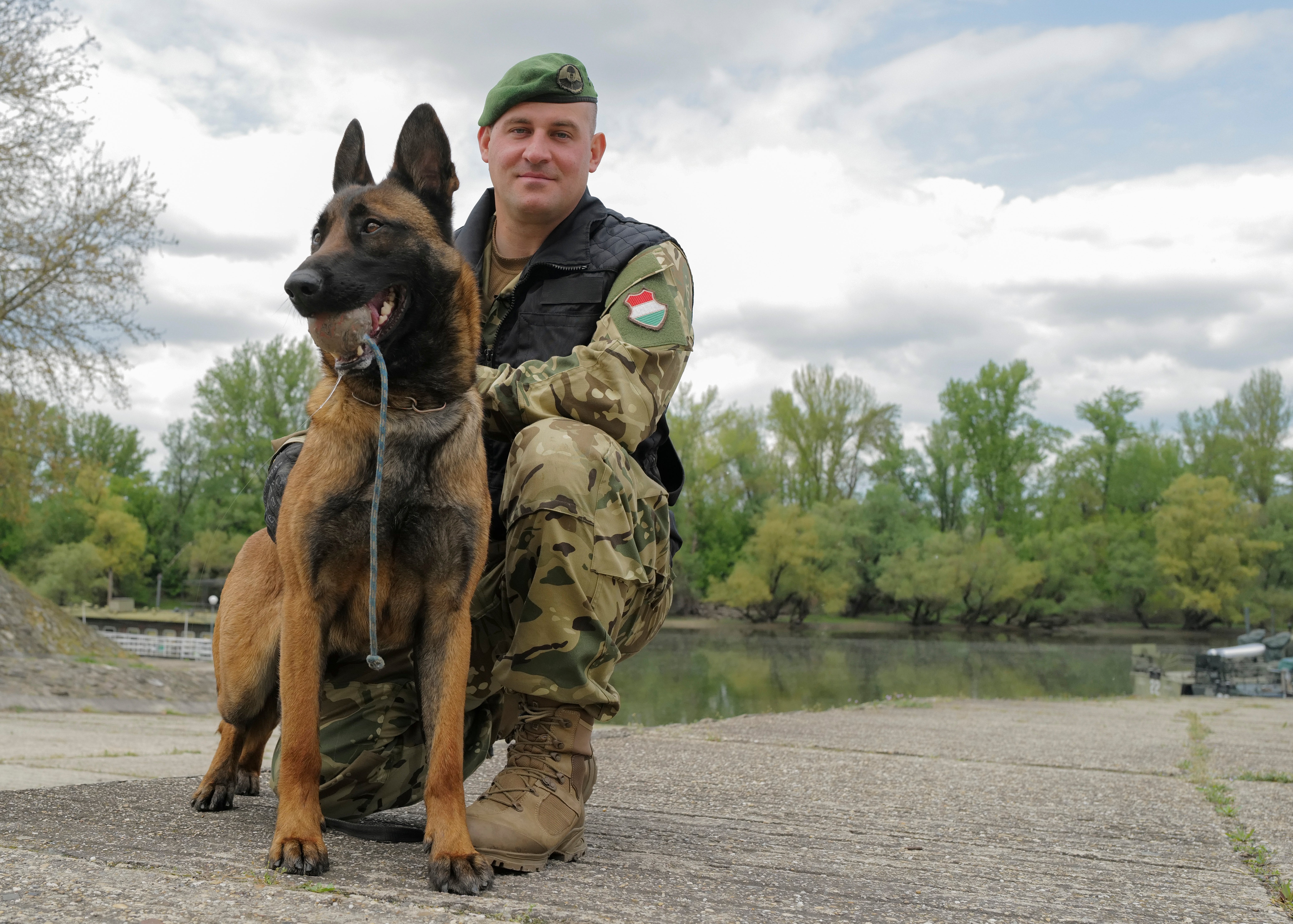 Hungary Bomb Dog