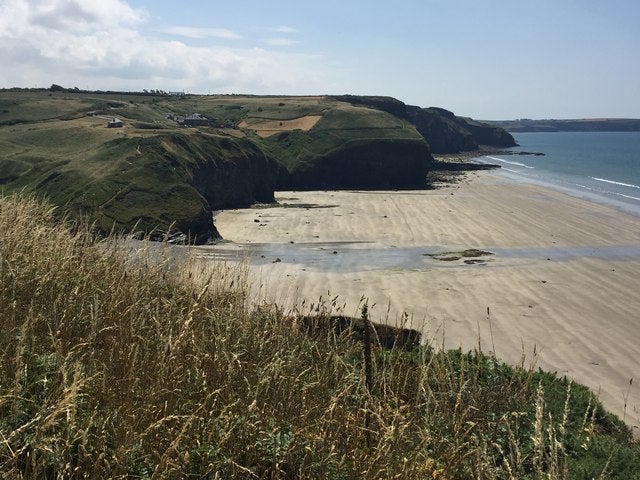 Horse rider injured after fall seeks £5m from dog owner