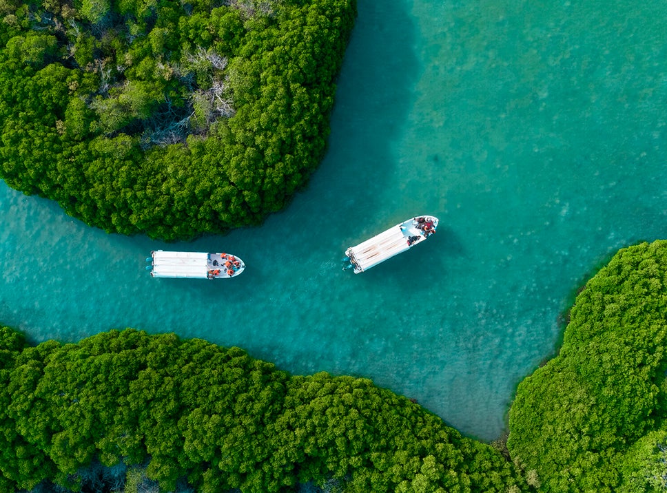 The lush, verdant environs of the Farasan Islands are a must-experience for nature fans