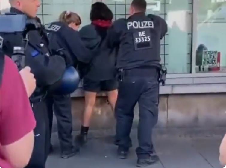 Palestinian activists accuse German police of heavy-handed crackdown on vigil in Berlin