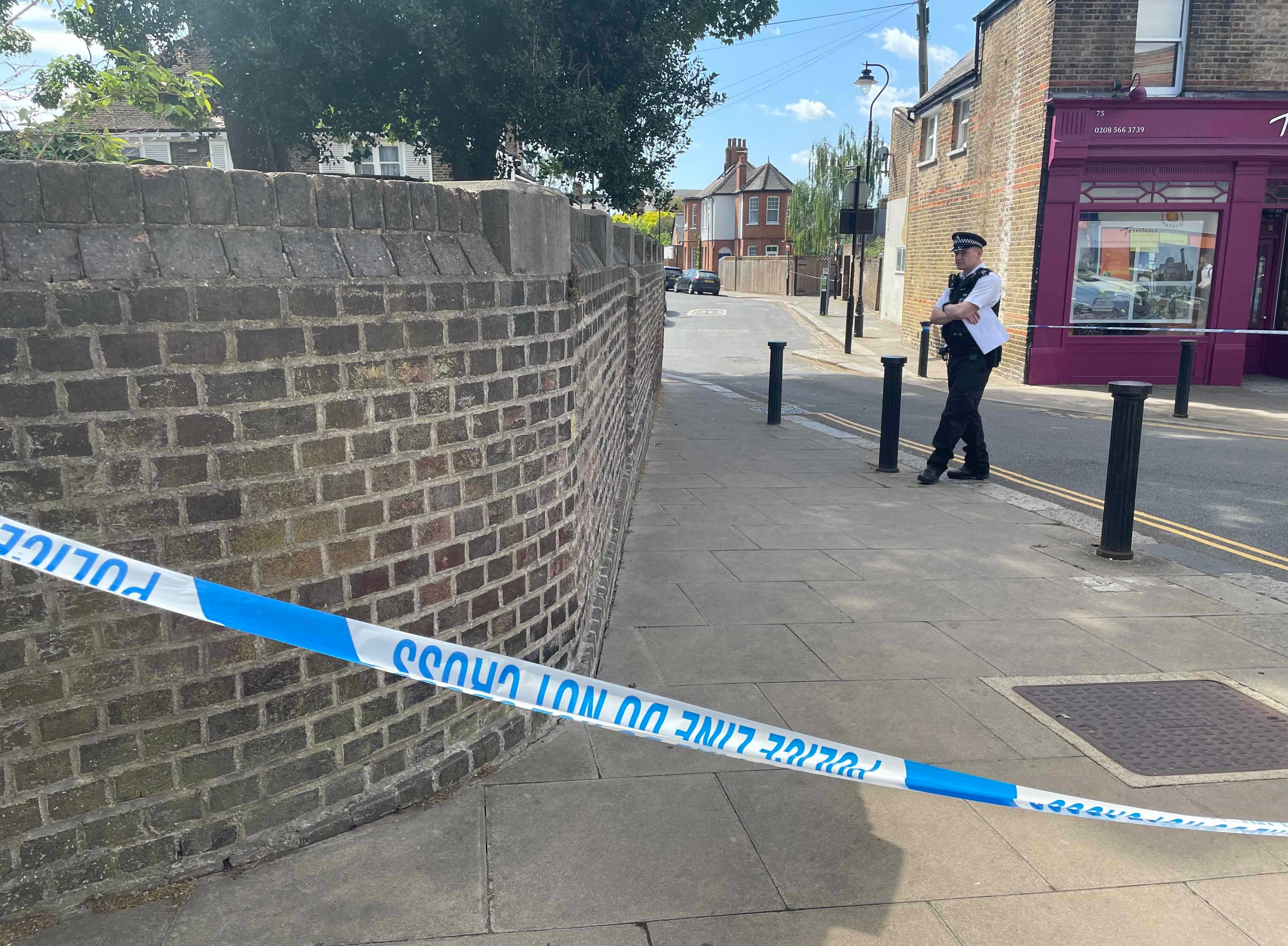 Police at the scene in Ealing, west London after a 21-year-old woman was found stabbed to death in an alleyway