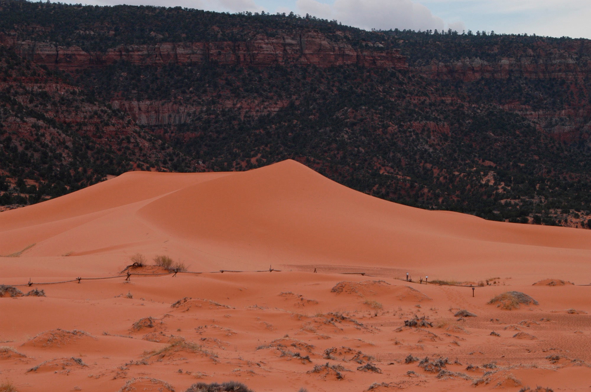 Sand Dunes Park Death