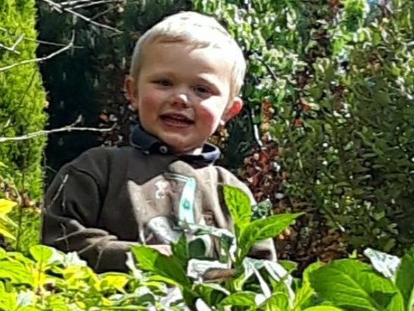 Daniel John Twigg, 3, was killed in a dog attack