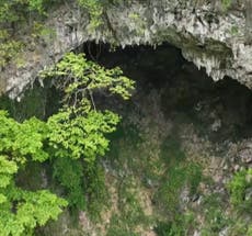 Chinese scientists find massive 630ft-deep sinkhole with an entire hidden forest inside