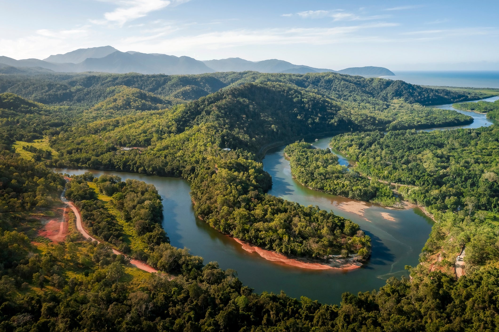 North Queensland wet tropics hold millions of trees