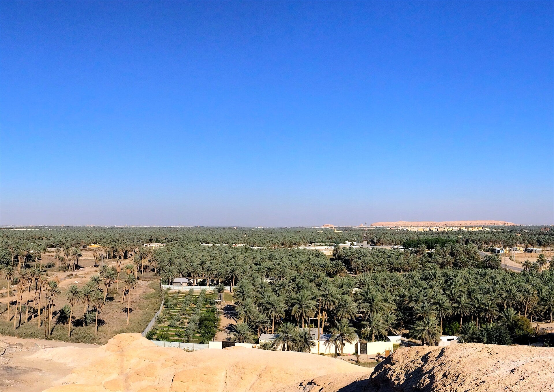 Immerse yourself in nature in the lush environs of Al Ahsa National Park, where you can camp, birdwatch and explore caves