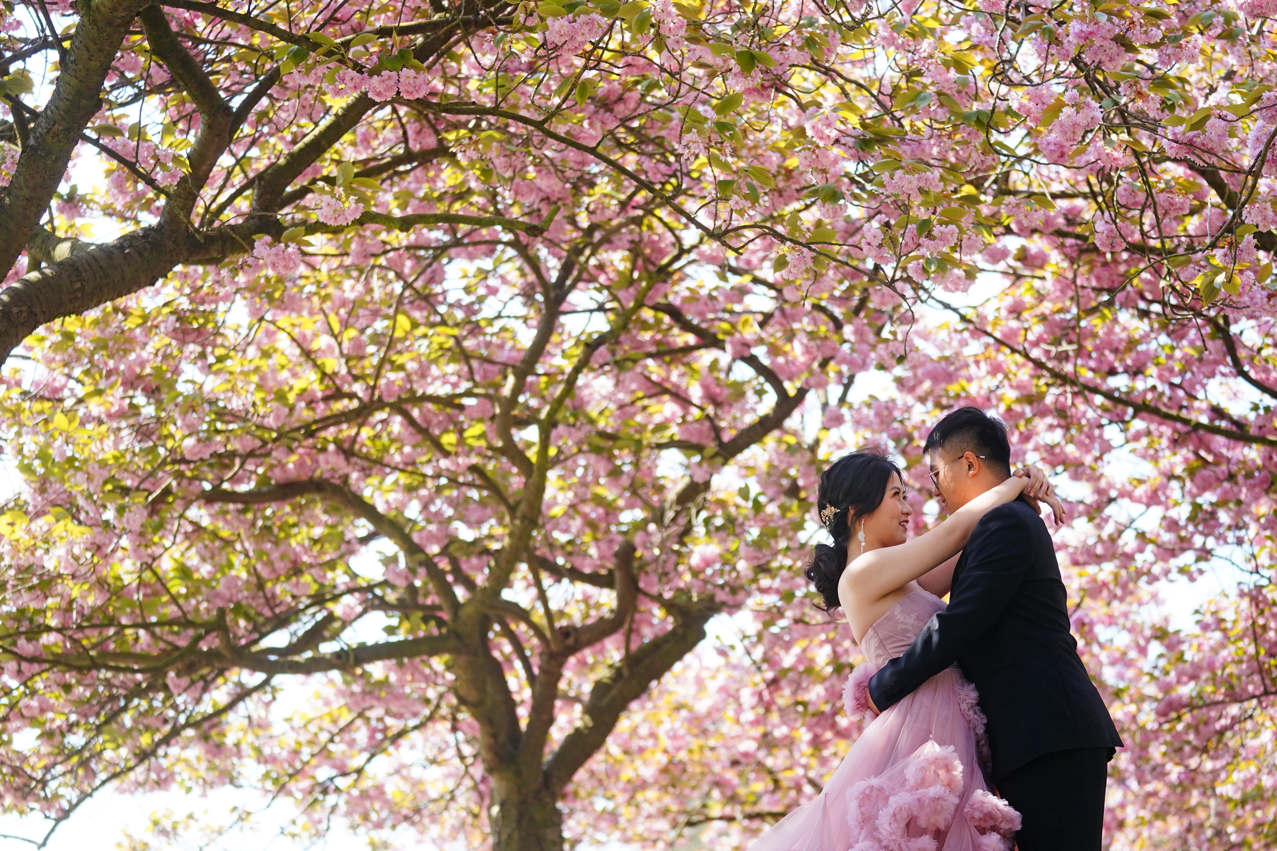 Hugging a partner could reduce stress for women, study suggests (Victoria Jones/PA)