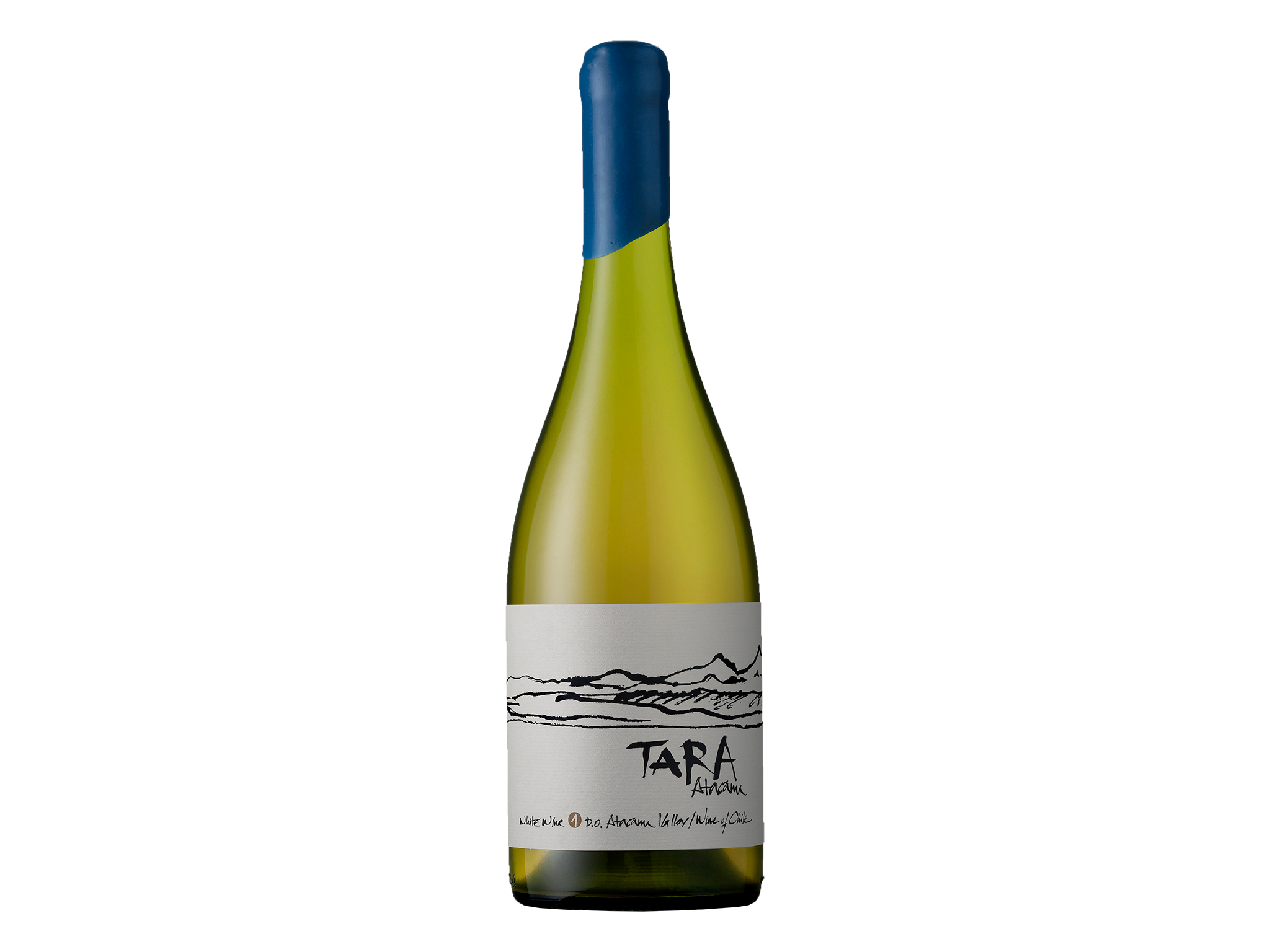 Atacama chardonnay vina ventisquero 2016