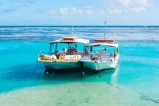 ‘Traffic calming’ gives Great Barrier Reef fish better chance of survival, study finds 