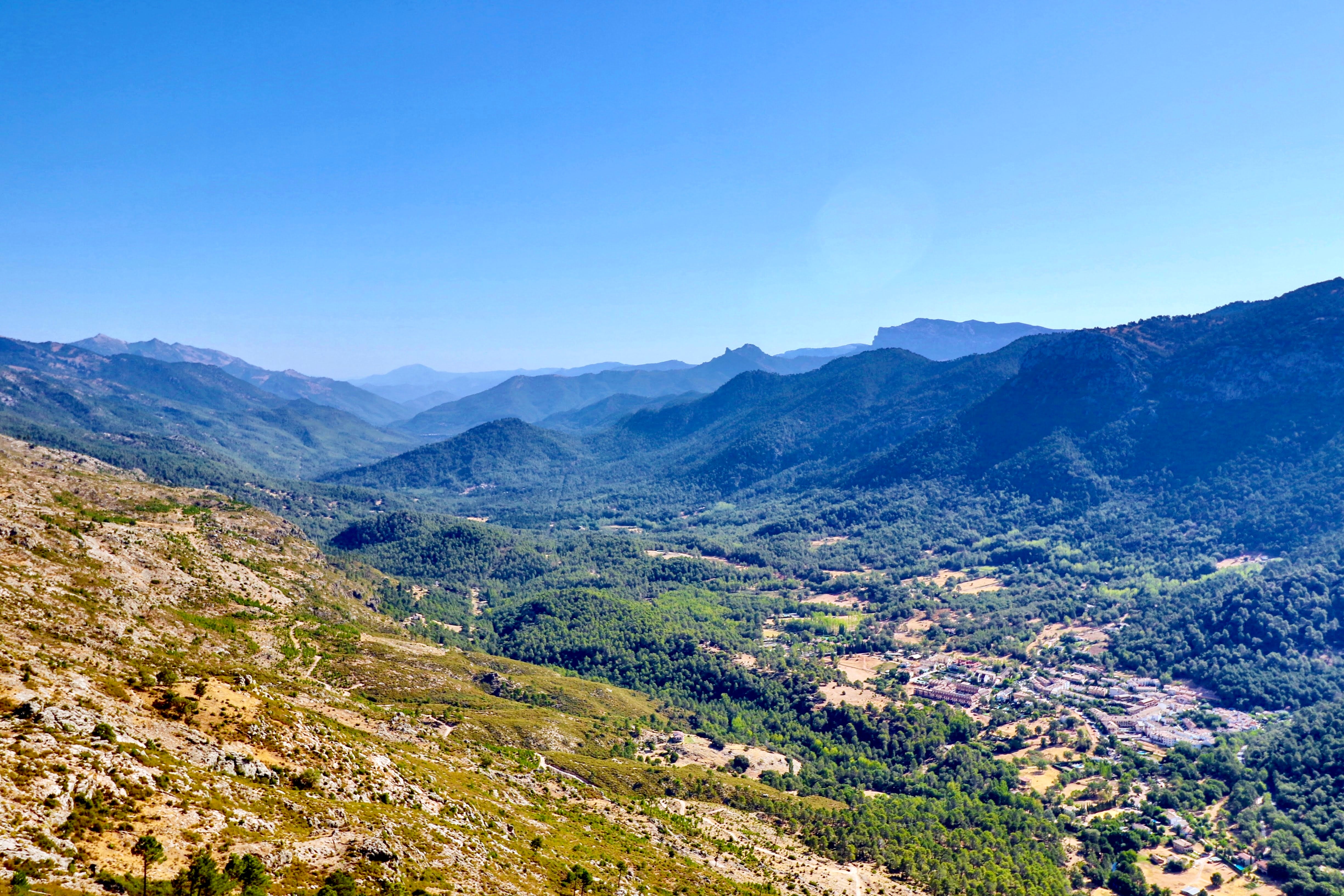 Temperatures in the Guadalquivir valley in southern Spain could reach 42C